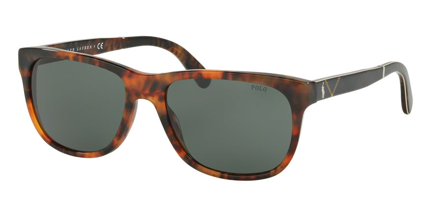 Polo PH4116 Square Sunglasses  501771-SHINY JERRY TORTOISE 58-18-145 - Color Map tortoise