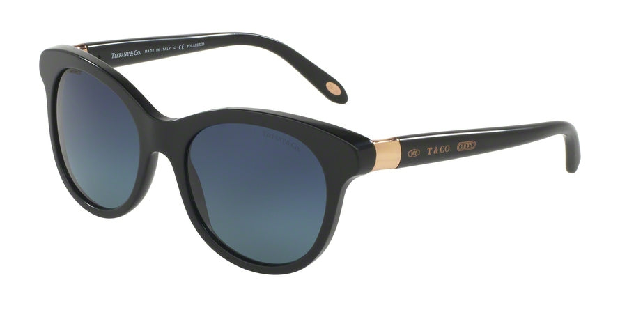 Tiffany TF4125 Round Sunglasses 80014U-MATTE BLACK 52-18-140 - Color Map black