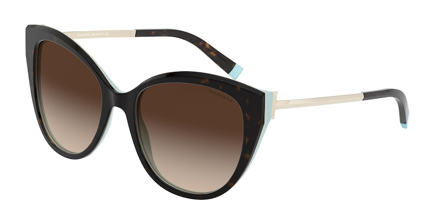Tiffany TF4166F Cat Eye Sunglasses 81343B-HAVANA/BLUE 55-18-140 - Color Map havana