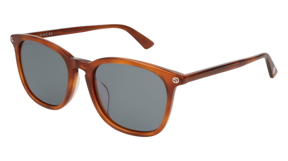 GUCCI GG0154SA ROUND / OVAL Sunglasses For UNISEX GG0154SA-003 HAVANA HAVANA / BLUE LIGHT 53-19-150