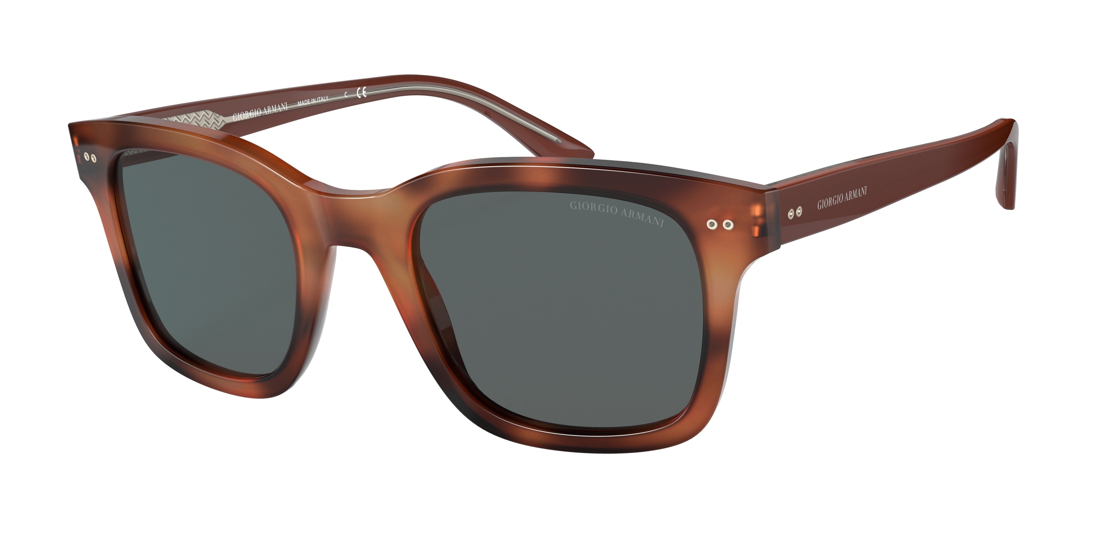 Giorgio Armani AR8138 Rectangle Sunglasses  5573B1-Striped Brown 51-145-23 - Color Map Tortoise