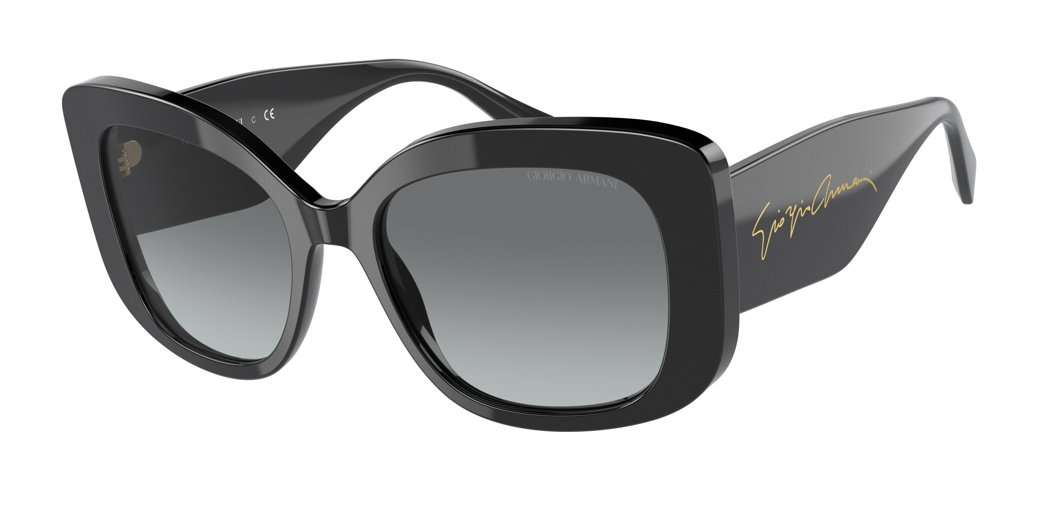 Giorgio Armani AR8150F Square Sunglasses  500111-Black 54-140-18 - Color Map Black