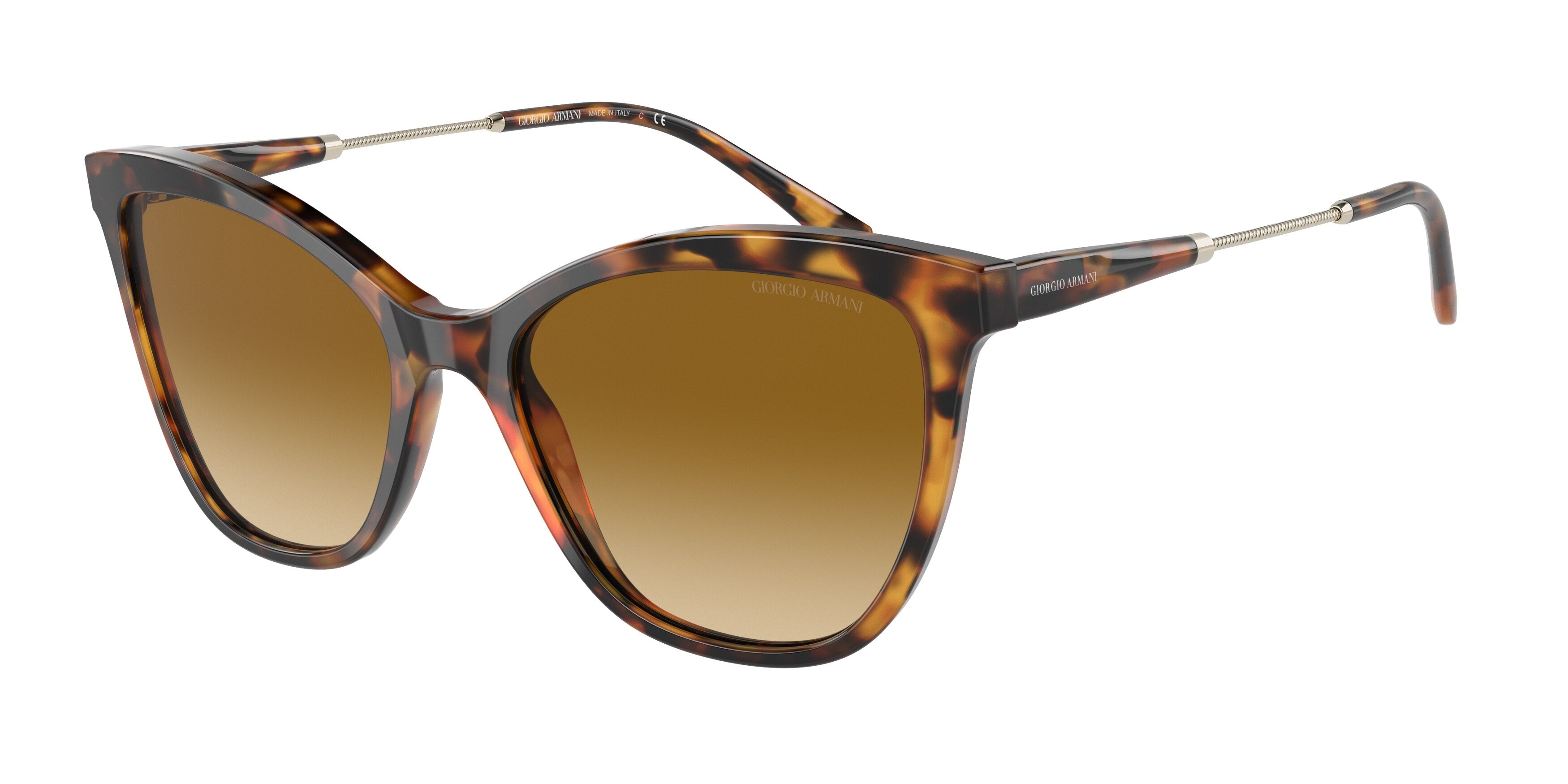 Giorgio Armani AR8157 Cat Eye Sunglasses  59162L-Brown Tortoise 54-145-18 - Color Map Tortoise