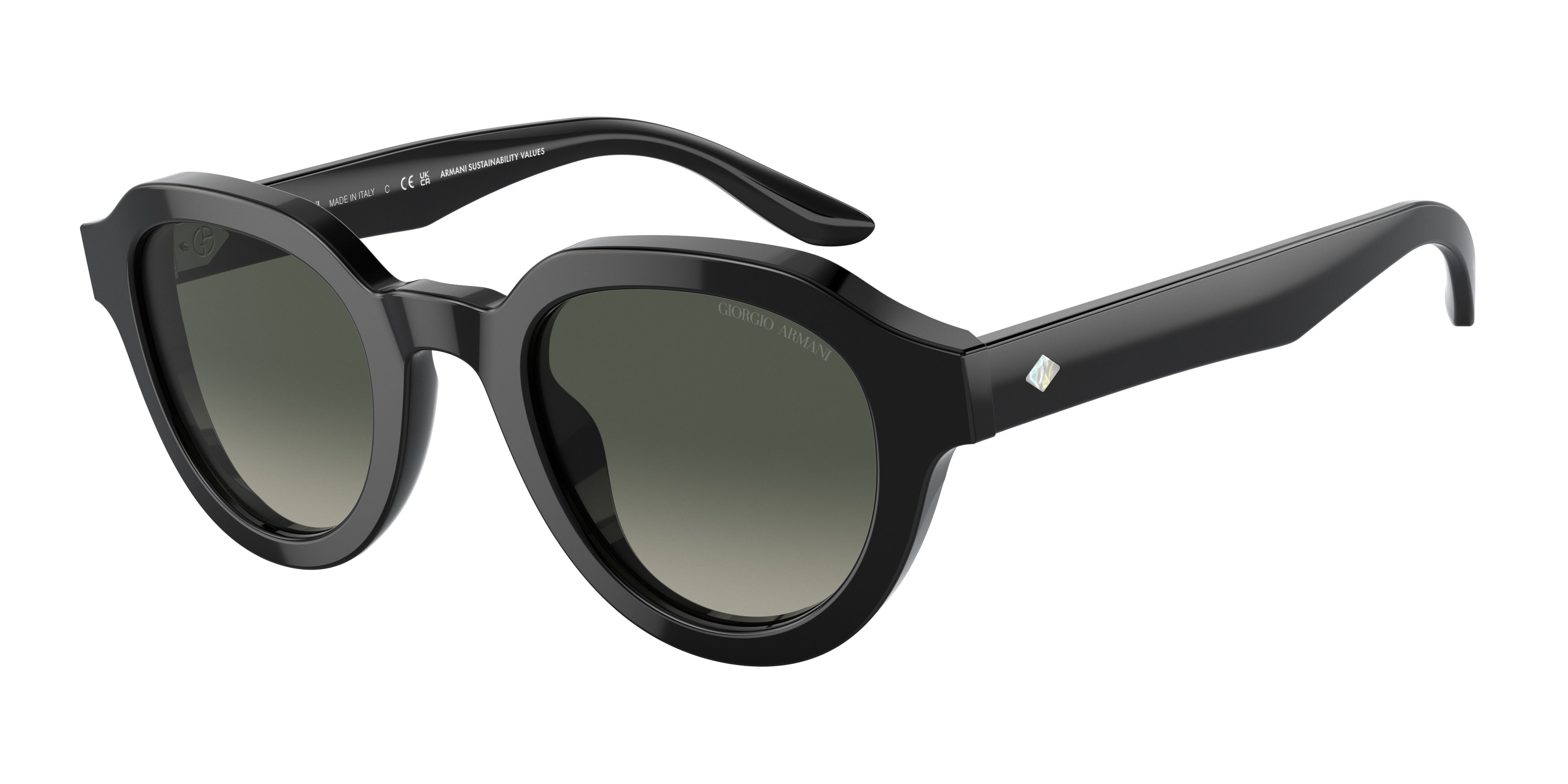 Giorgio Armani AR8172U Phantos Sunglasses  587571-Black 46-145-24 - Color Map Black