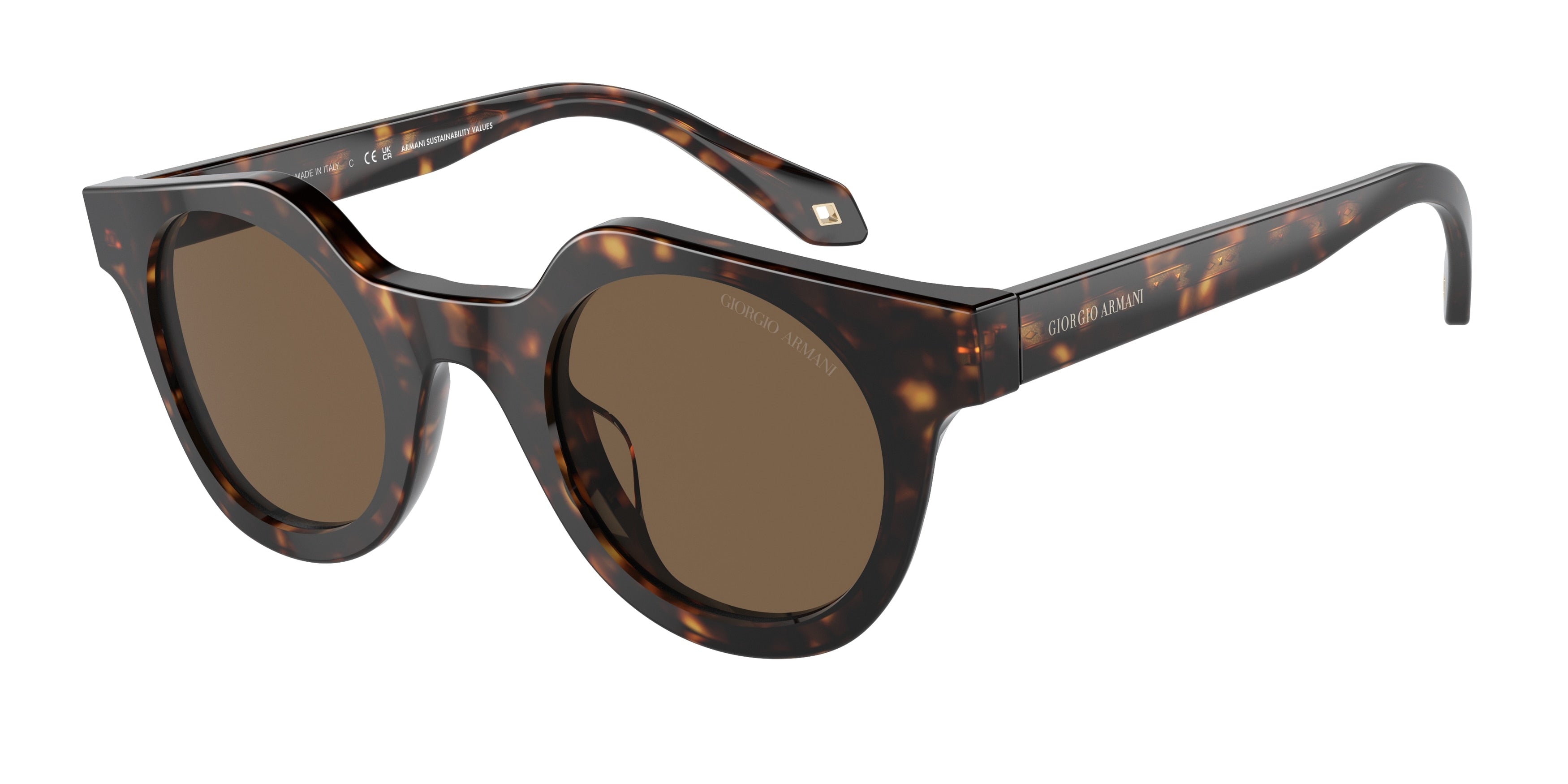 Giorgio Armani AR8191U Square Sunglasses  587973-Havana 45-145-25 - Color Map Tortoise