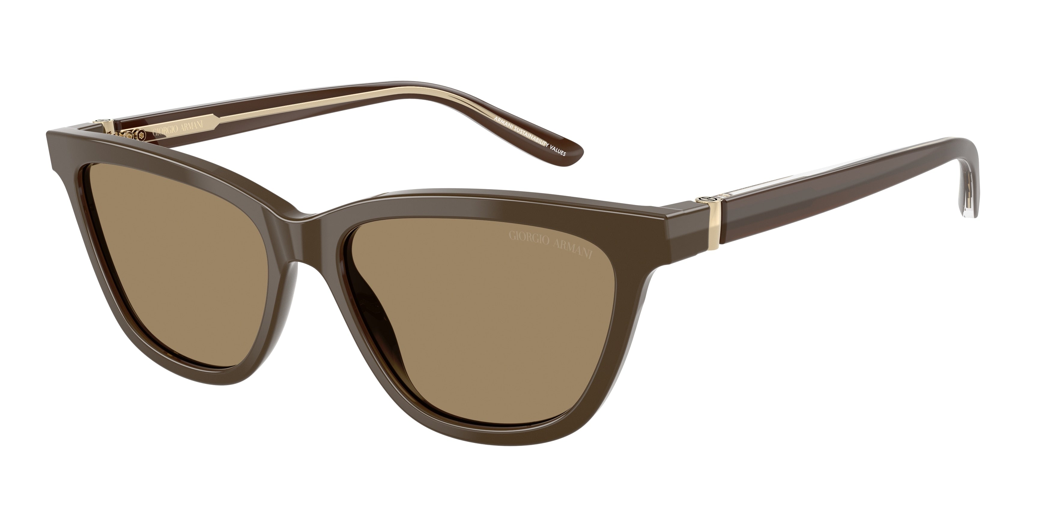 Giorgio Armani AR8221F Cat Eye Sunglasses  595753-Brown 55-140-16 - Color Map Brown