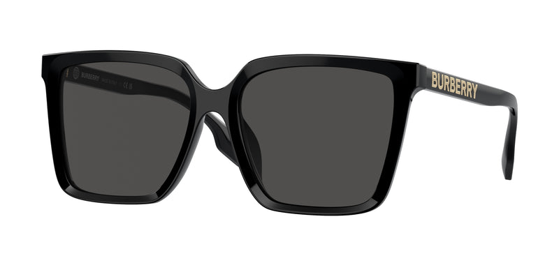 Burberry BE4411D Square Sunglasses  300187-Black 57-140-17 - Color Map Black