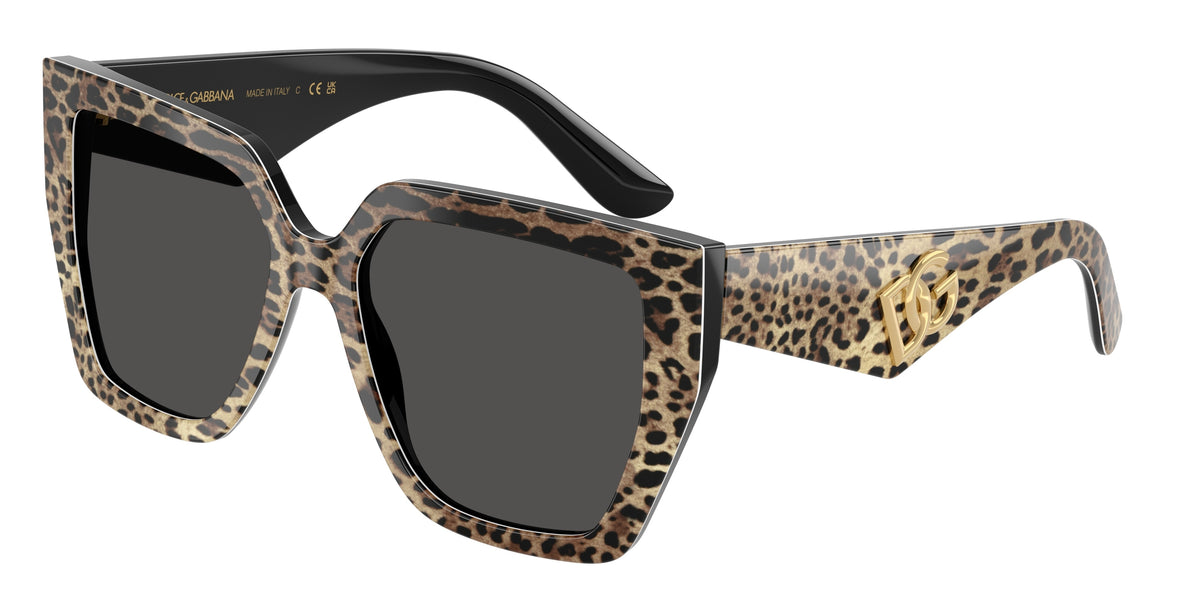 DOLCE & GABBANA DG4438 Square Sunglasses  316387-Leo Brown On Black 55-145-17 - Color Map Brown