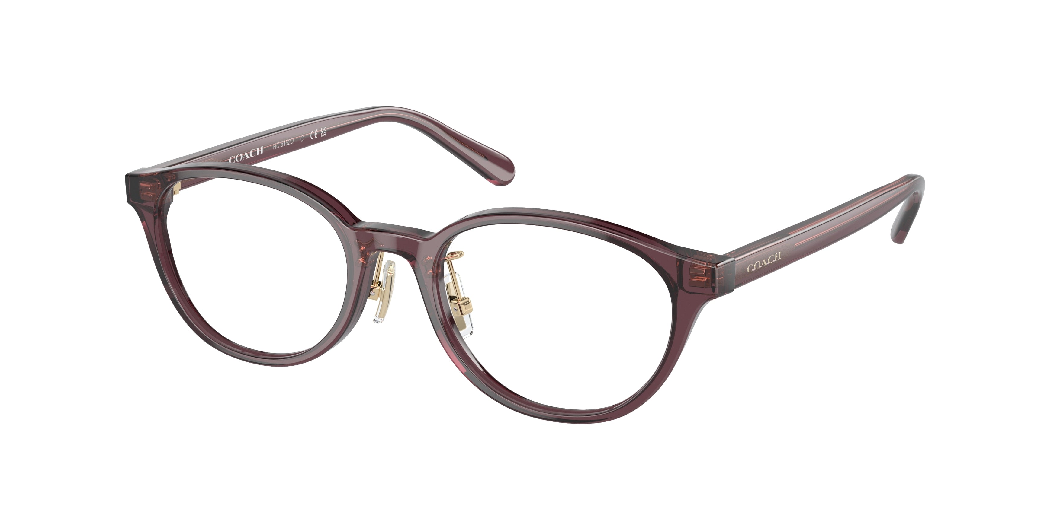 Coach HC6152D Oval Eyeglasses  5677-Transparent Mauve 49-140-18 - Color Map Violet