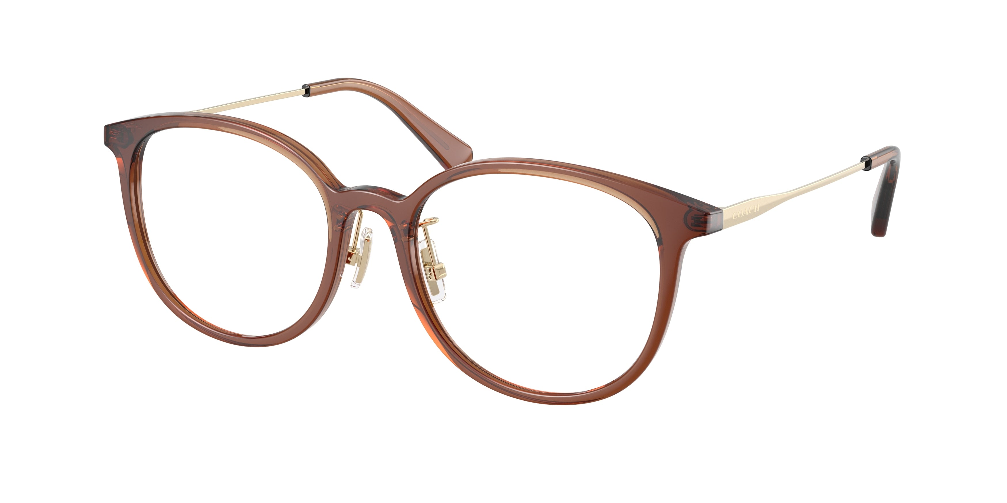 Coach HC6160D Round Eyeglasses  5847-Transparent Brown 53-145-18 - Color Map Brown