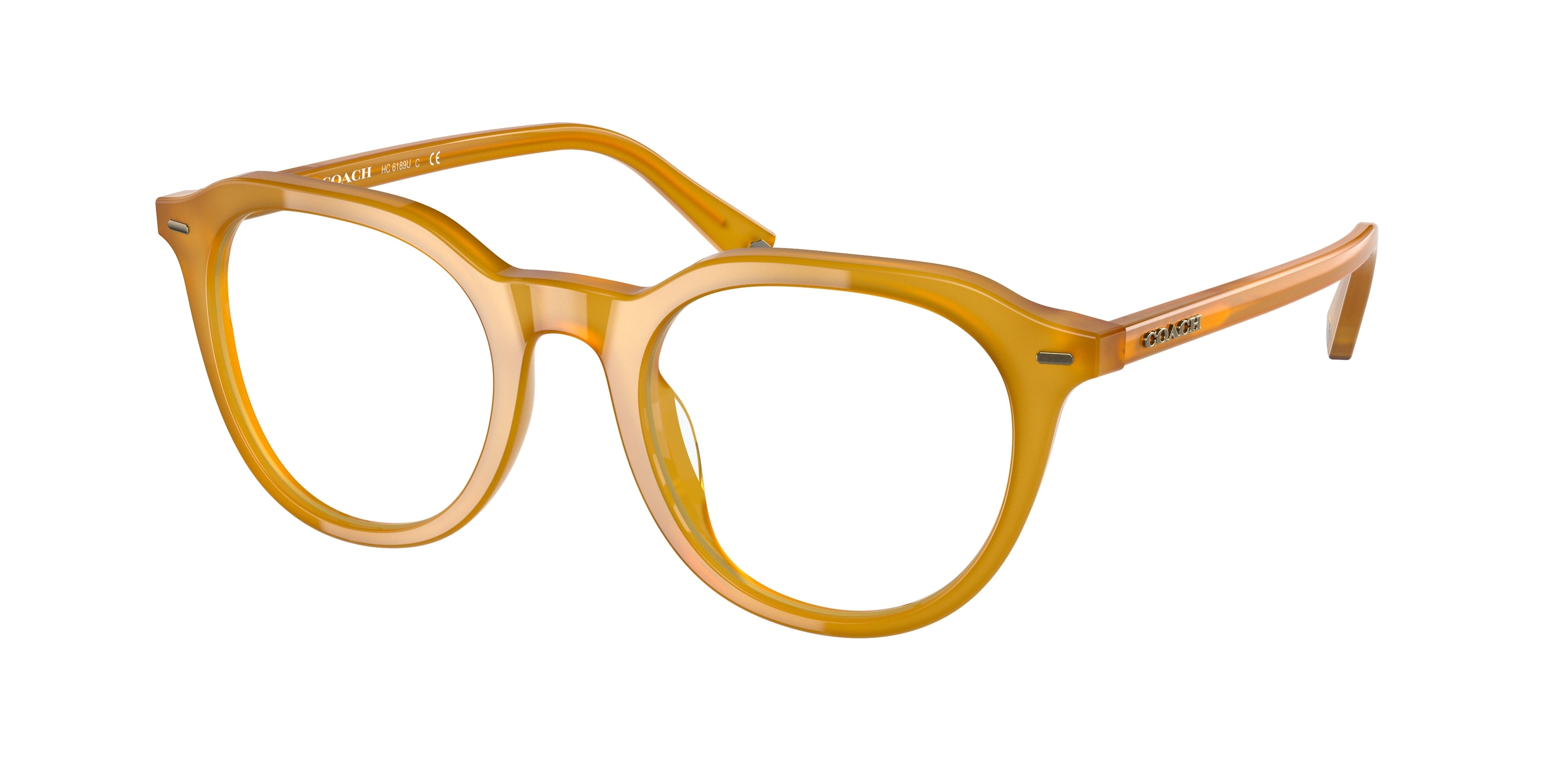 Coach HC6189U Phantos Eyeglasses  5251-Milky Amber 50-145-21 - Color Map Orange
