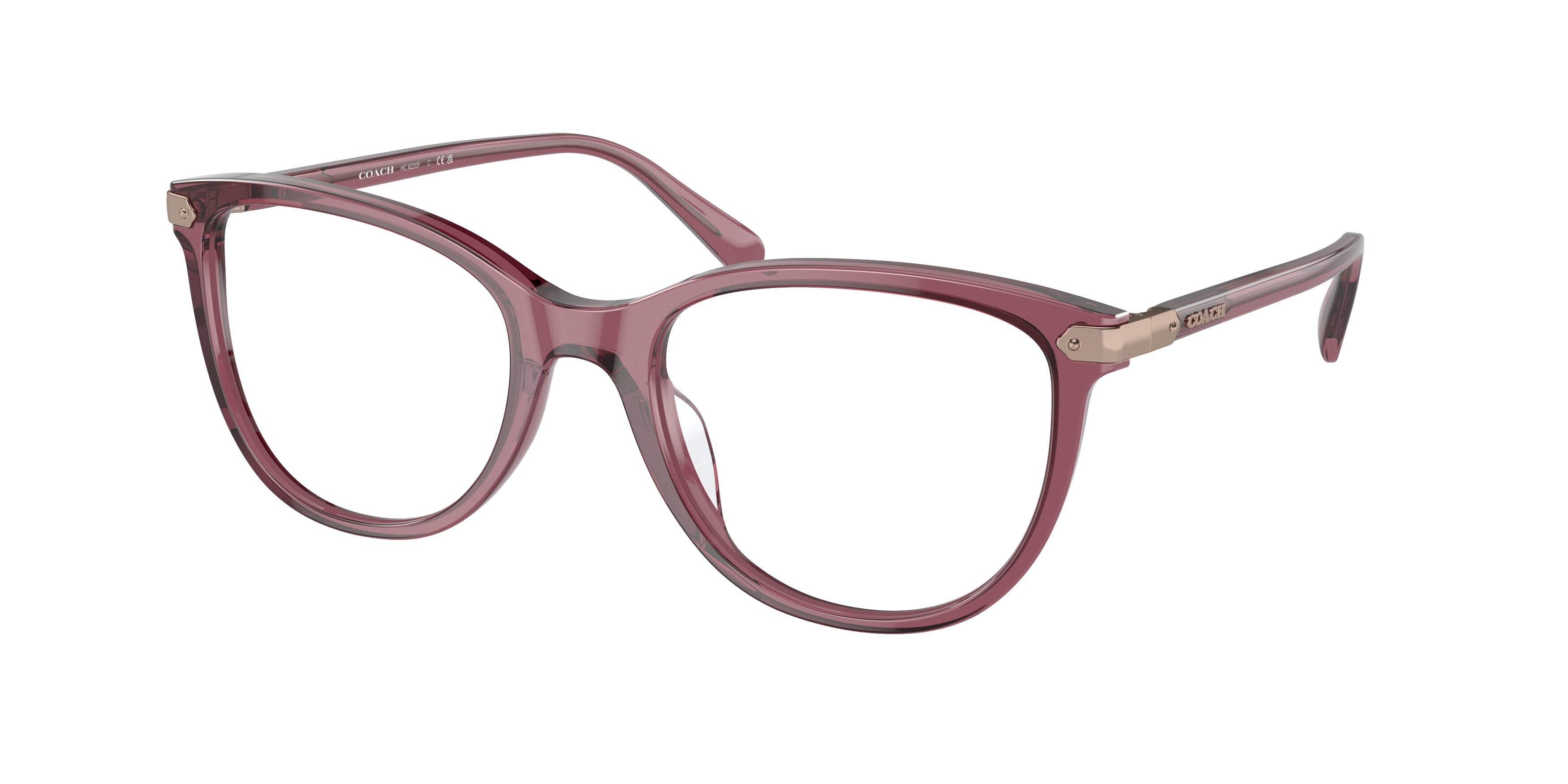 Coach HC6220F Square Eyeglasses  5773-Transparent Purple 56-145-19 - Color Map Violet