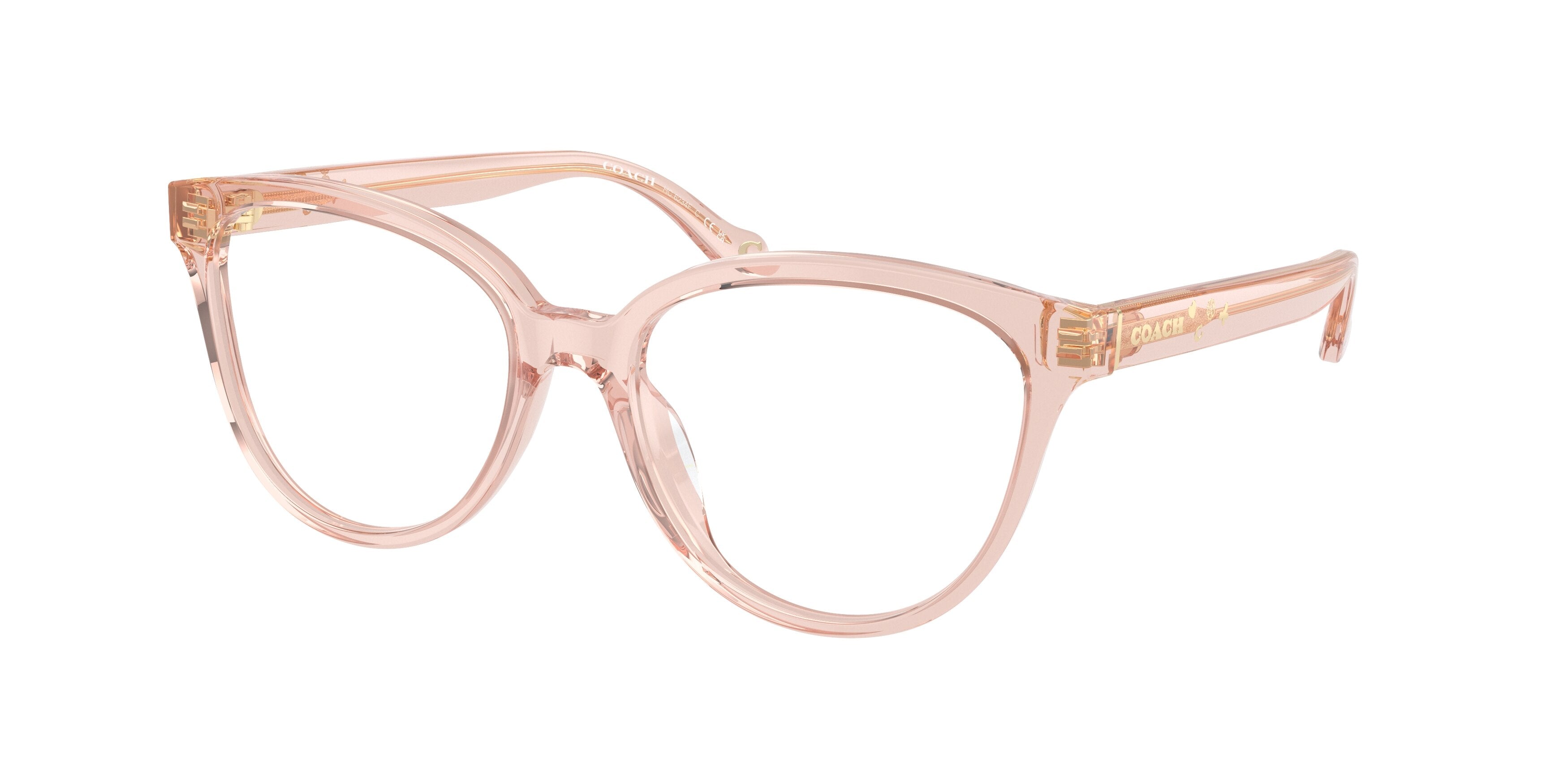 Coach HC6234F Square Eyeglasses  5668-Transparent Dusty Rose 56-145-16 - Color Map Pink