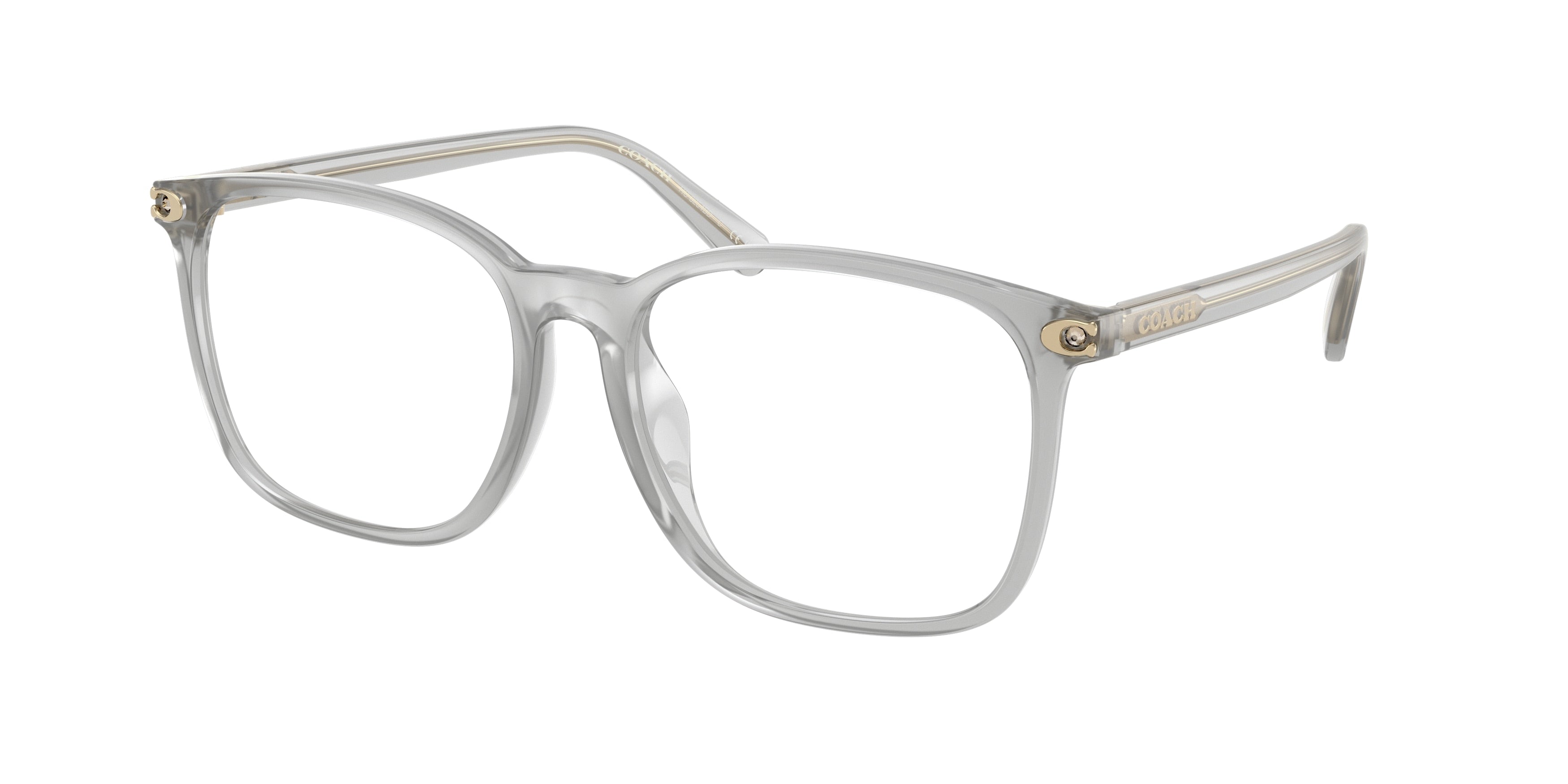 Coach HC6254BD Square Eyeglasses  5614-Transparent Dove 55-145-16 - Color Map Transparent