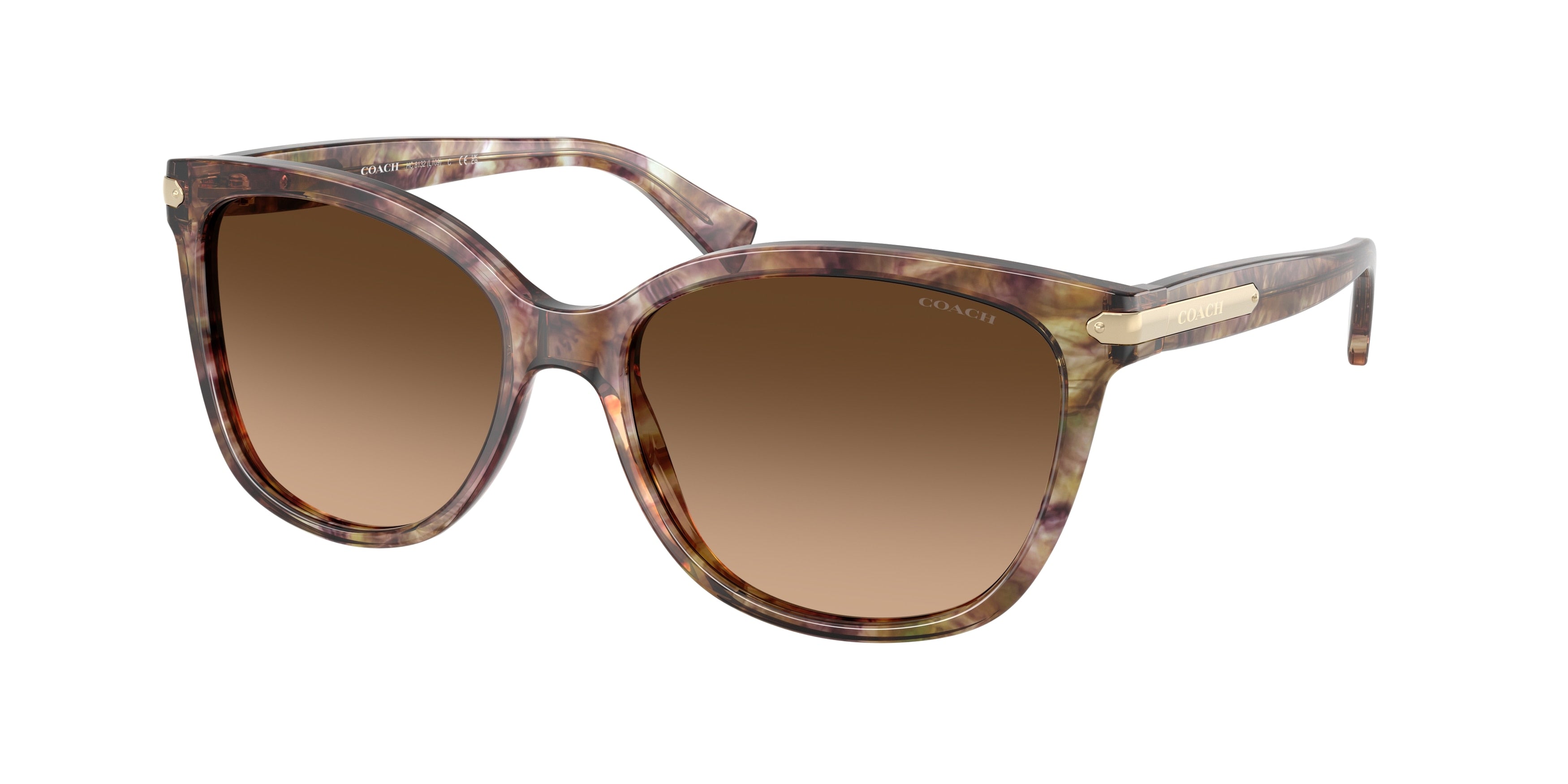 Coach L109 HC8132 Cat Eye Sunglasses  528713-Tortoise 57-135-17 - Color Map Tortoise