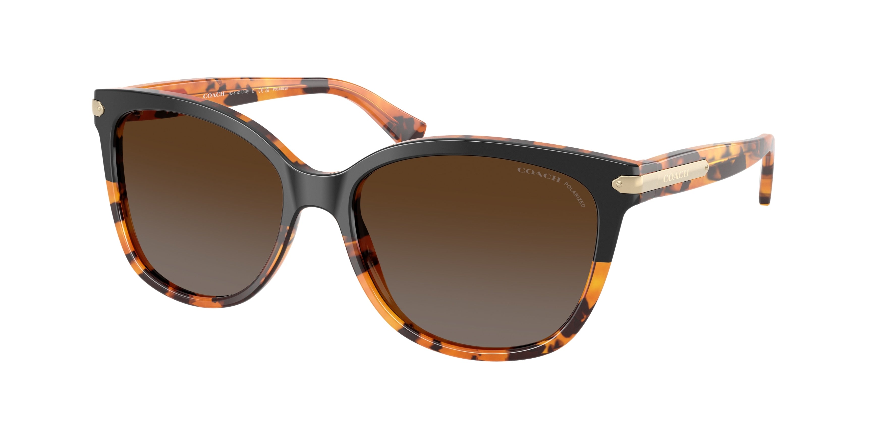 Coach L109 HC8132 Cat Eye Sunglasses  5438T5-Black Tortoise Gradient 57-135-17 - Color Map Black
