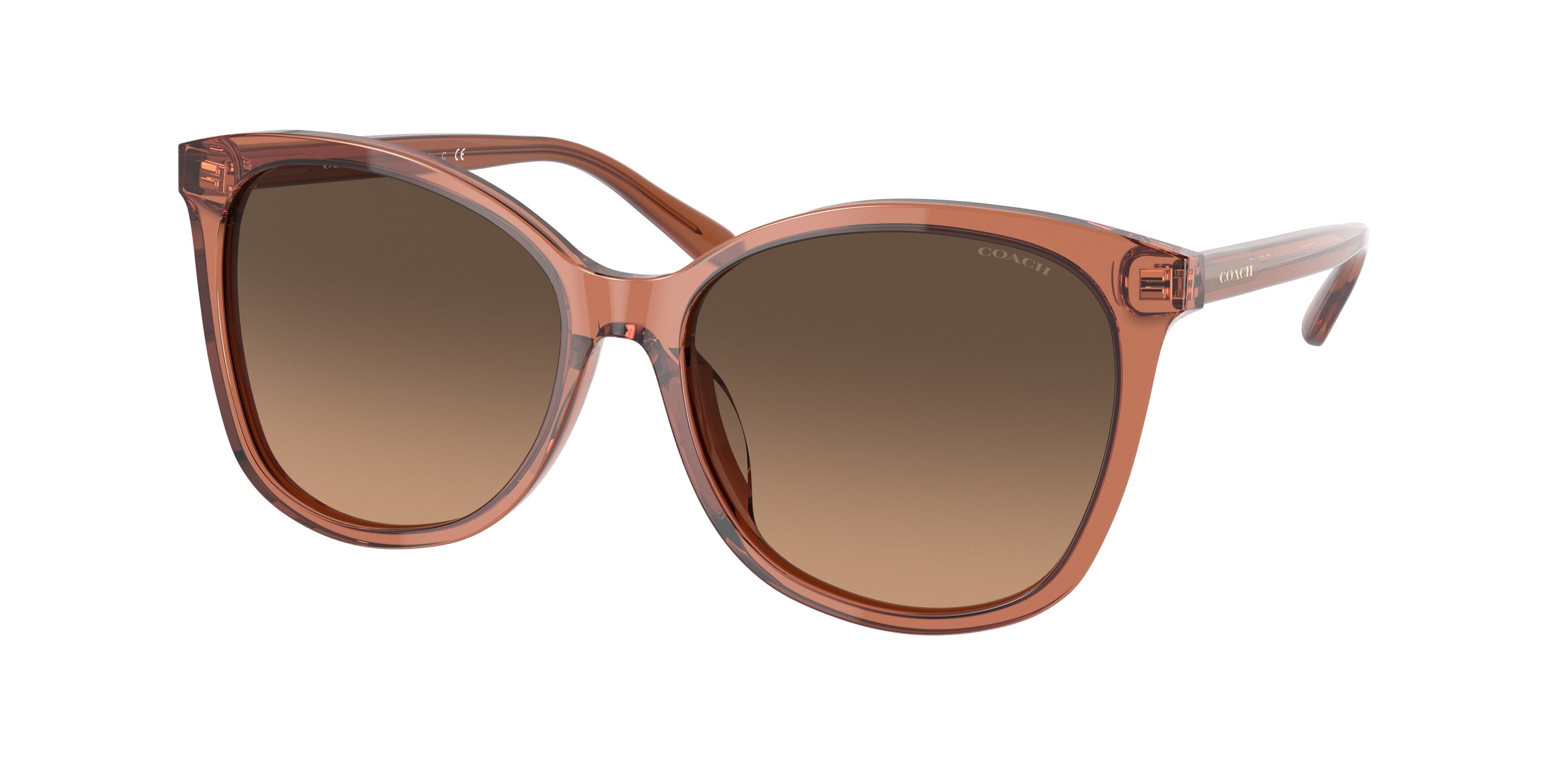 Coach L1101 HC8271U Square Sunglasses  5662G9-Transparent Amber 57-140-16 - Color Map Orange