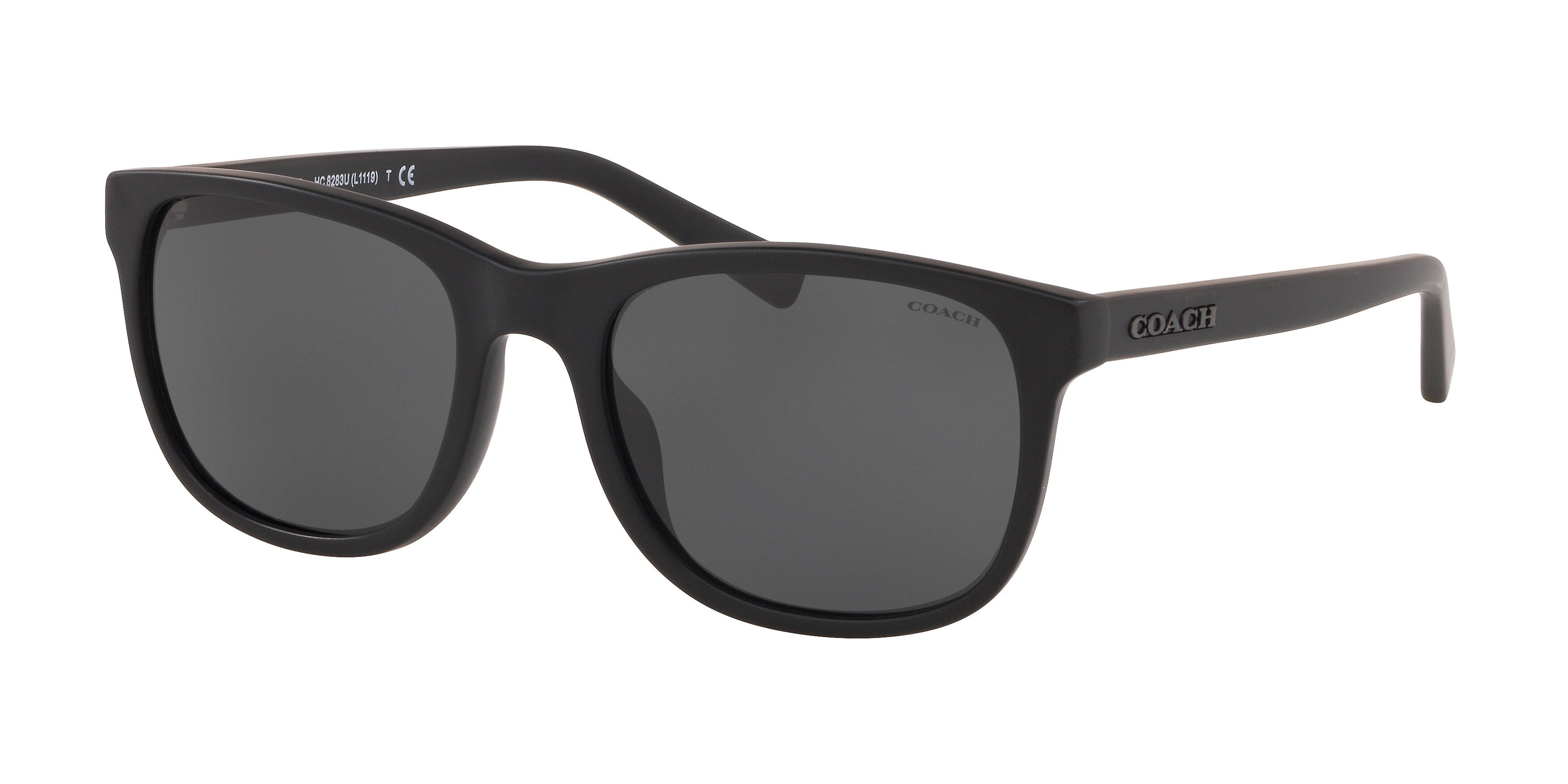 Coach L1119 HC8283U Rectangle Sunglasses  500287-Black 55-145-19 - Color Map Black