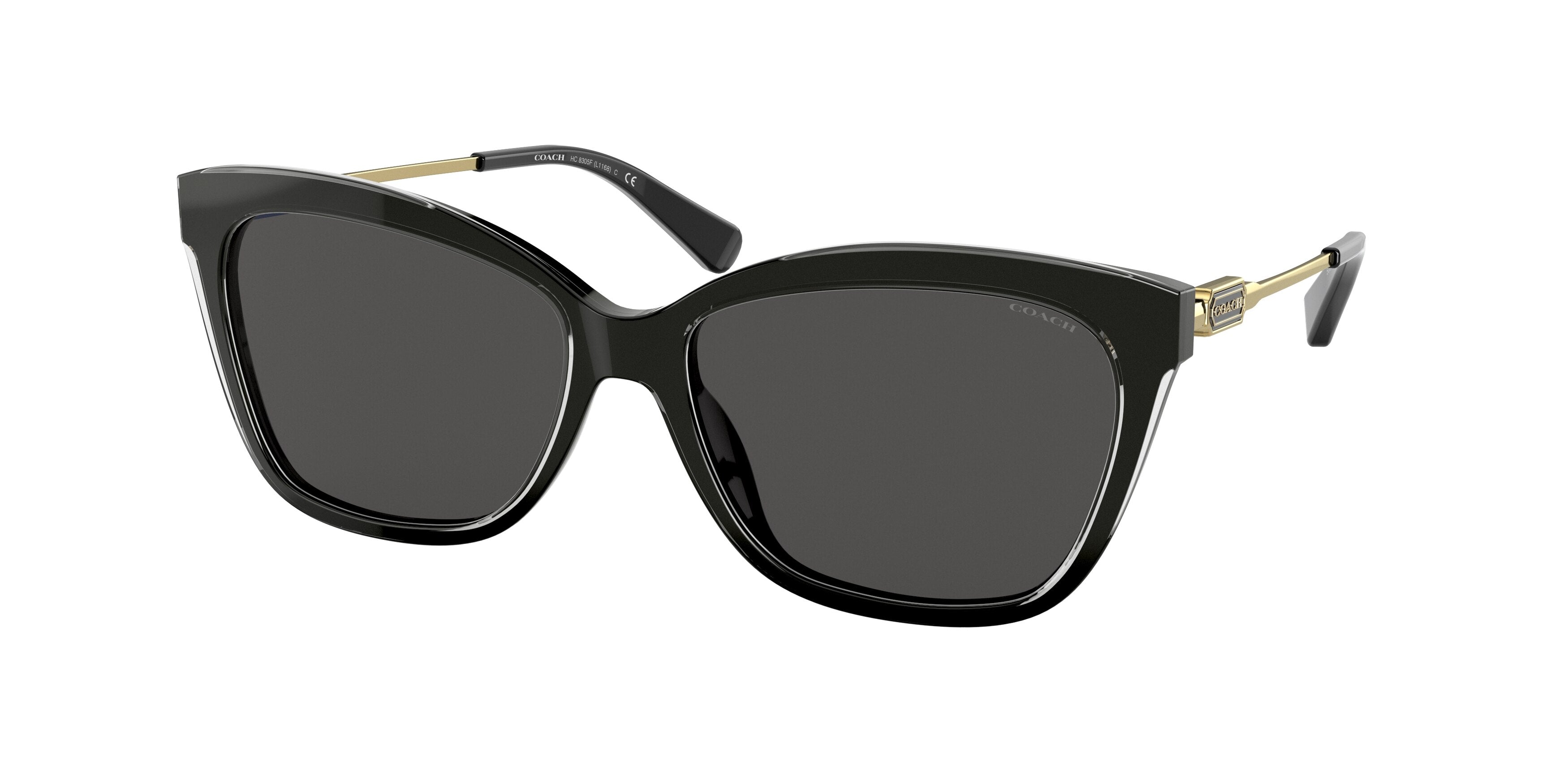 Coach L1160 HC8305F Square Sunglasses  500287-Black 57-140-16 - Color Map Black