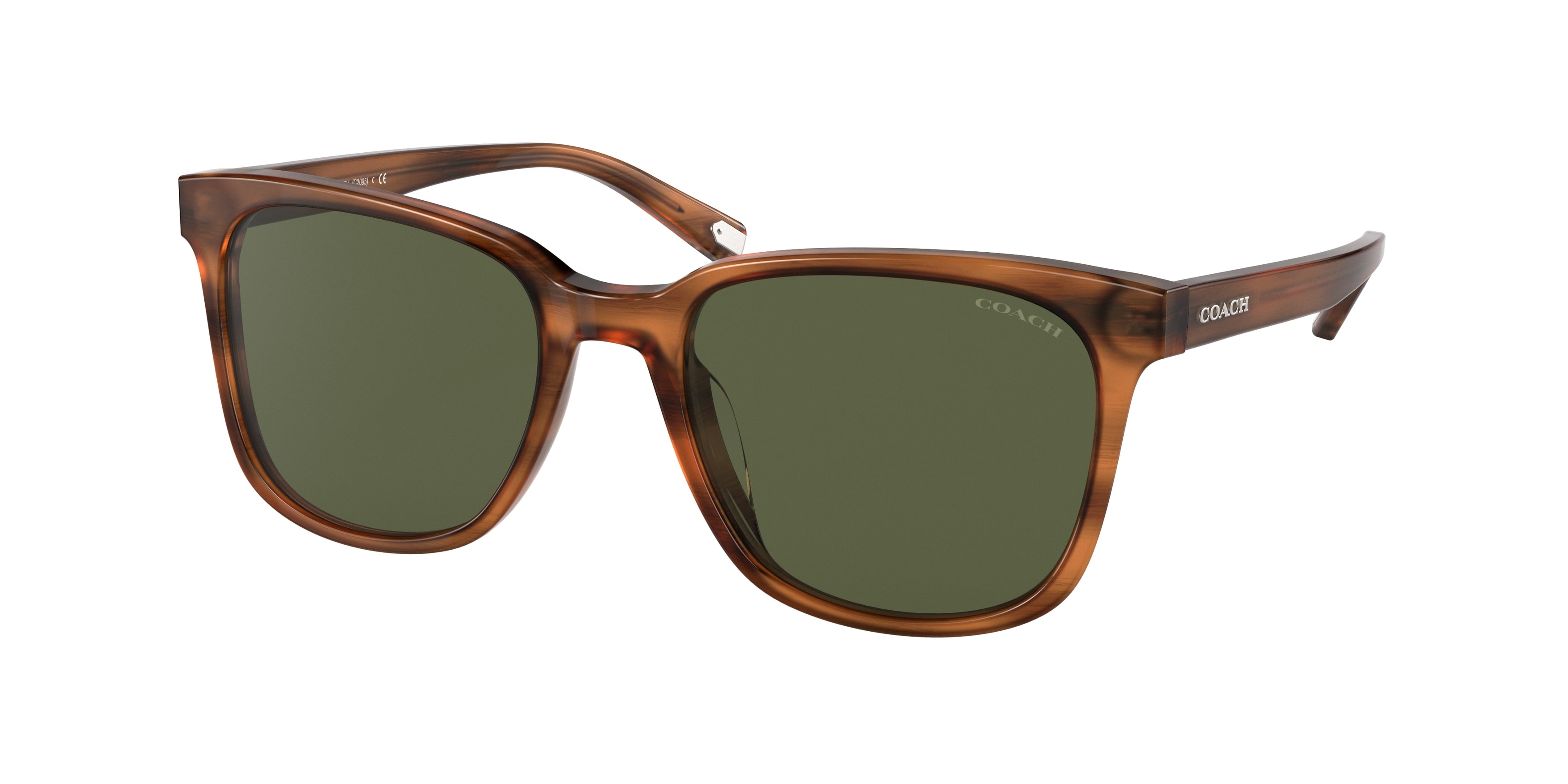Coach C2095 HC8313U Square Sunglasses  558171-Amber Horn 54-145-19 - Color Map Orange