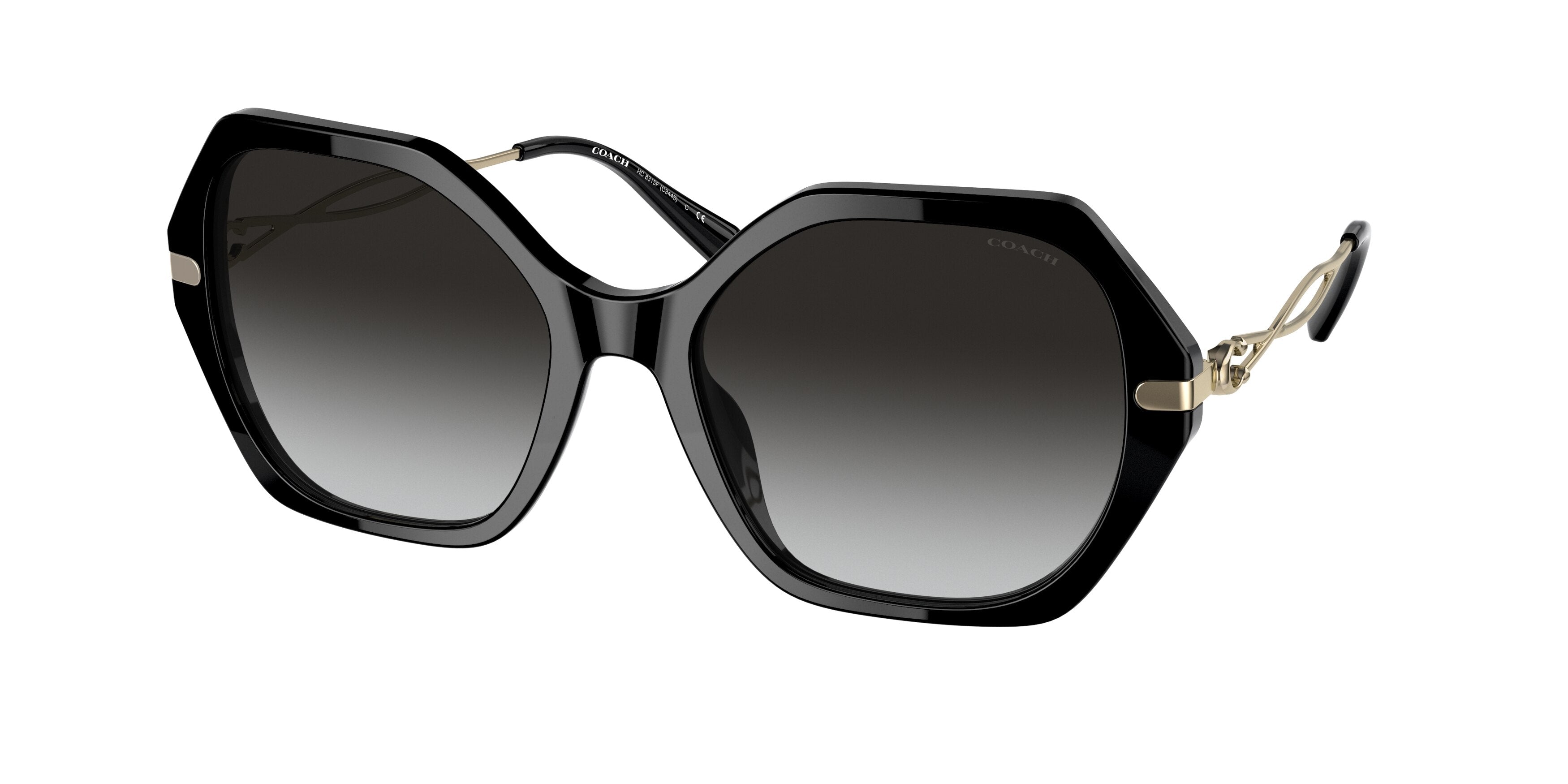 Coach C3504 HC8315F Irregular Sunglasses  50028G-Black 59-140-19 - Color Map Black