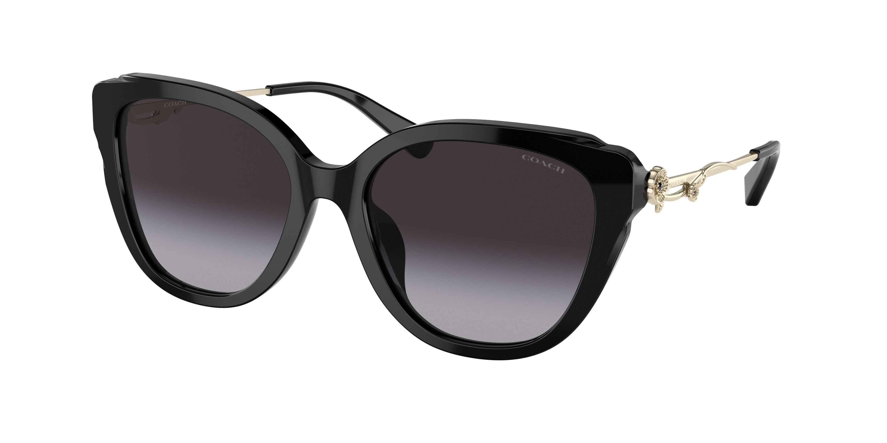 Coach C9199 HC8347BU Square Sunglasses  50028G-Black 55-140-18 - Color Map Black