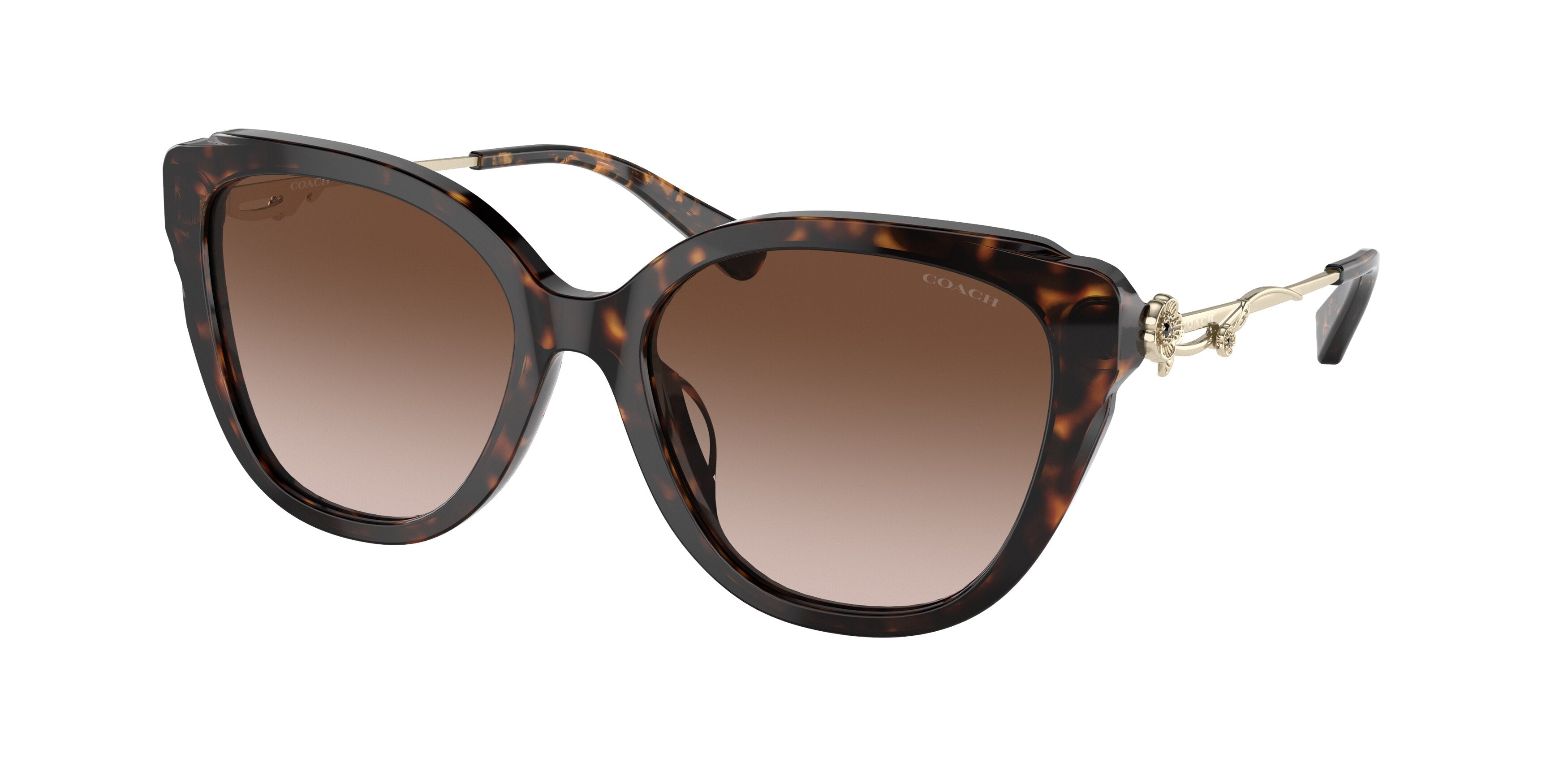 Coach C9199 HC8347BU Square Sunglasses  512013-Dark Tortoise 55-140-18 - Color Map Tortoise