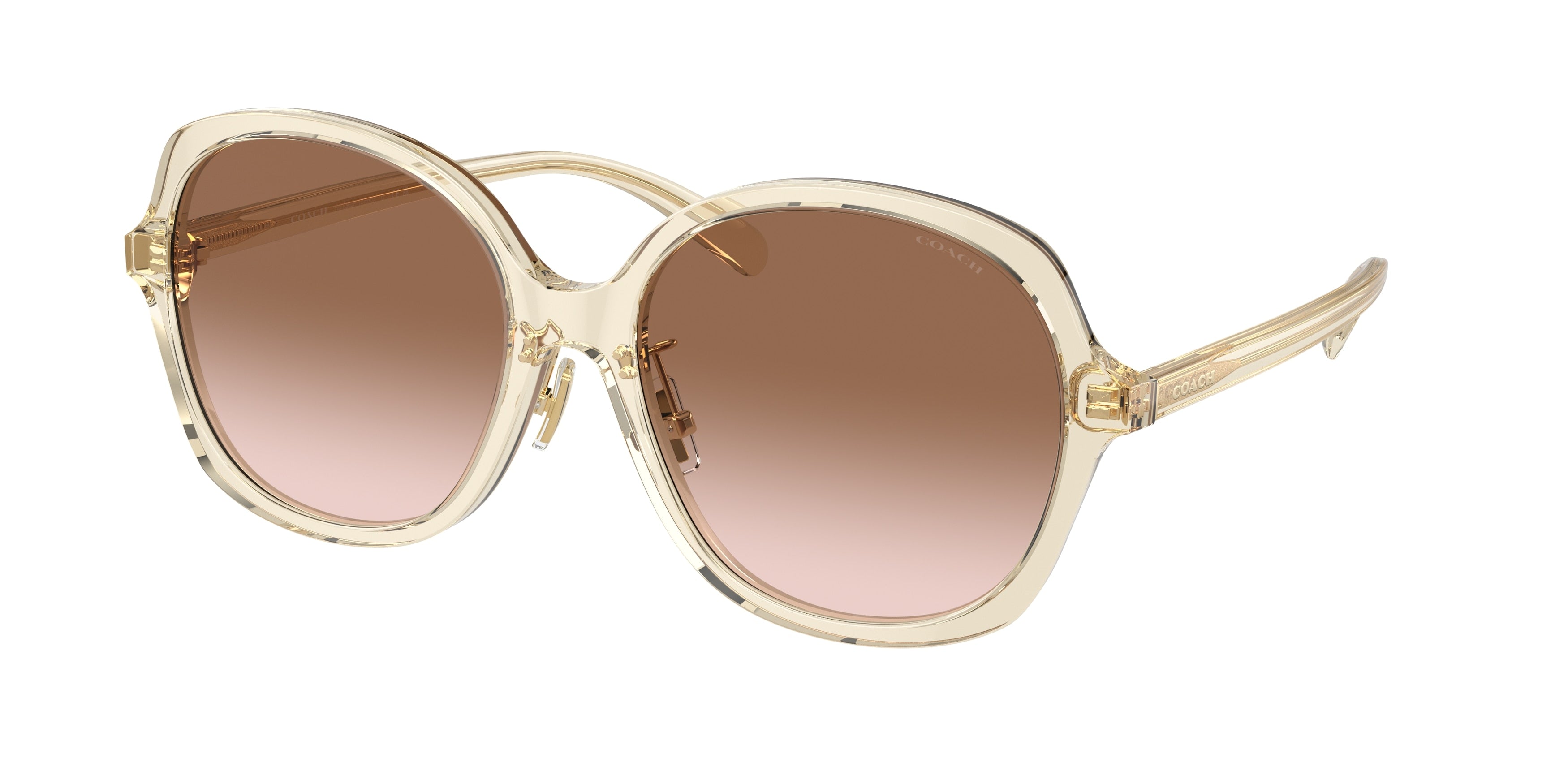 Coach CH610 HC8360F Square Sunglasses  573613-Transparent Fawn 58-145-18 - Color Map Brown