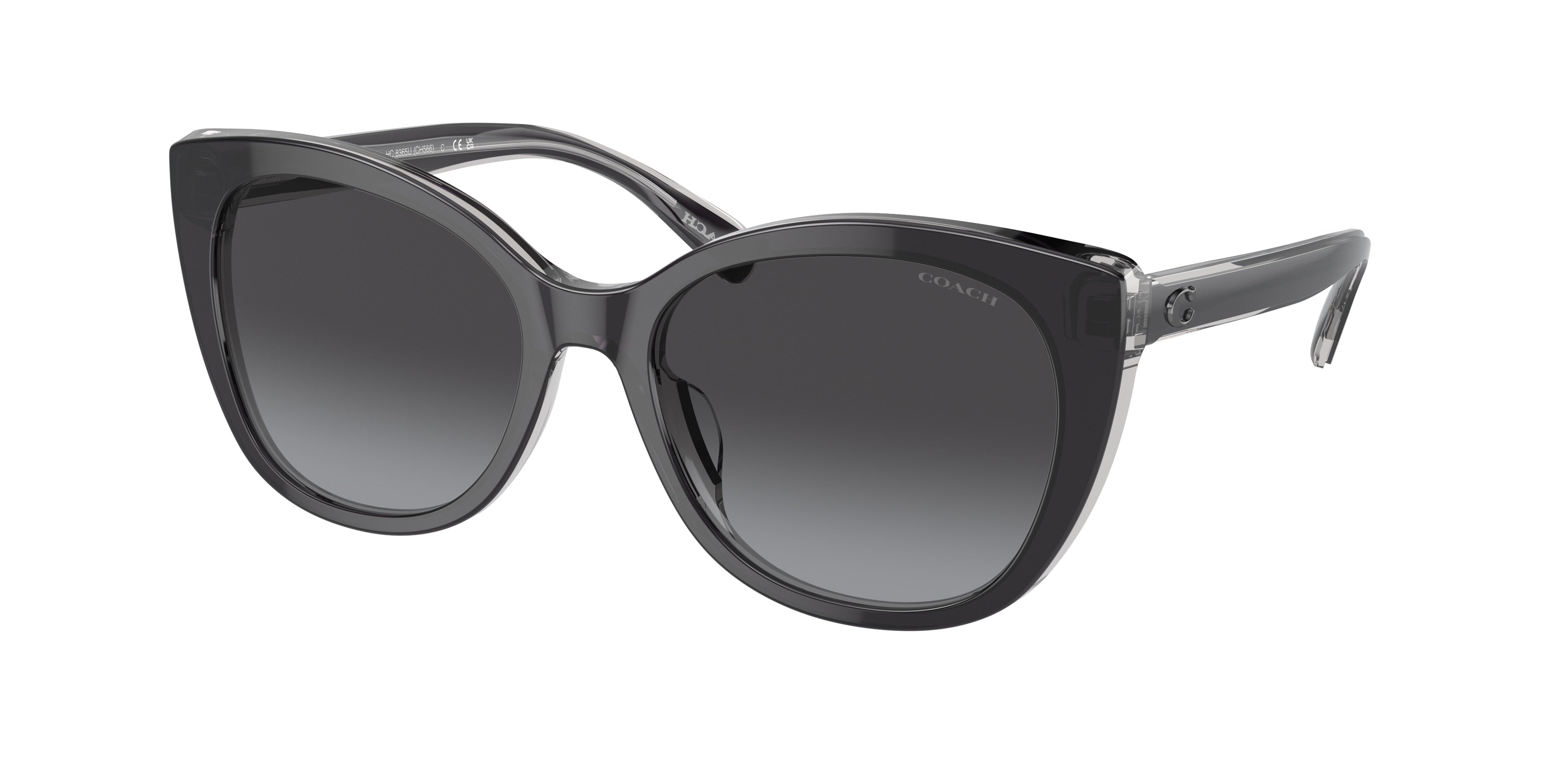 Coach CH566 HC8365U Cat Eye Sunglasses  57458G-Black/Transparent Grey 55-140-18 - Color Map Black