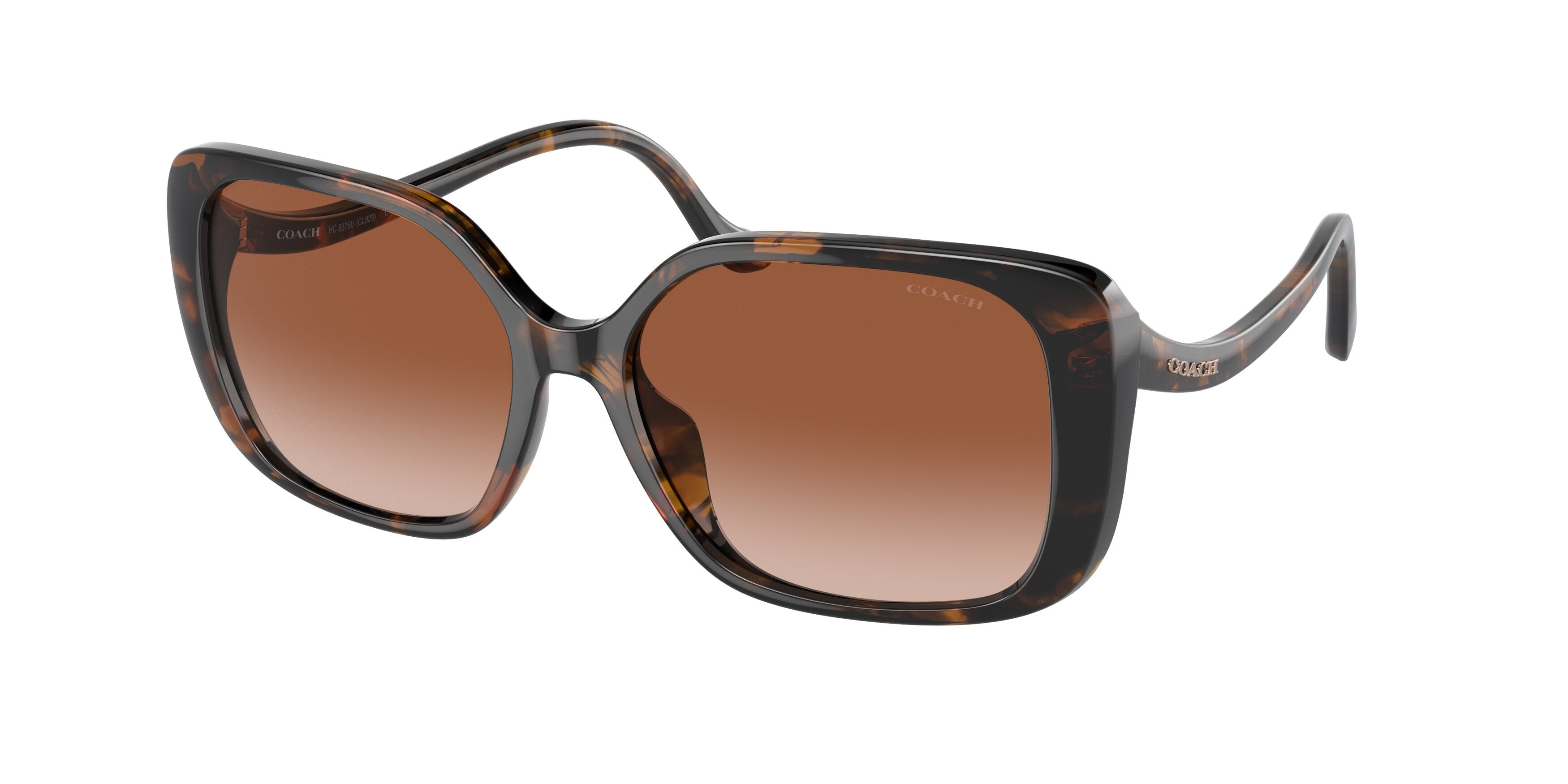 Coach CL929 HC8376U Square Sunglasses  512013-Dark Tortoise 56-145-16 - Color Map Tortoise
