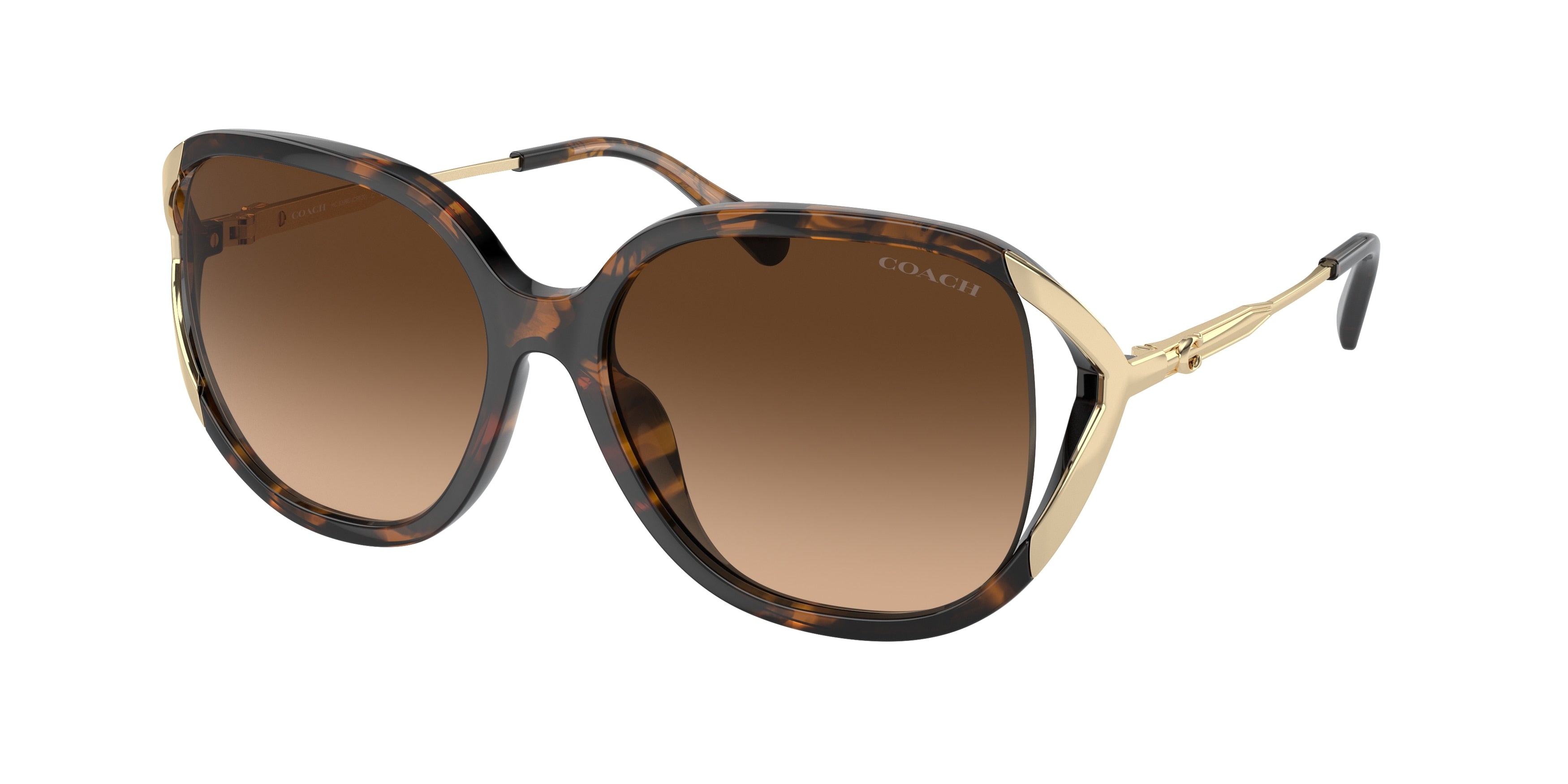 Coach CR620 HC8396U Square Sunglasses  512074-Dark Tortoise 56-140-16 - Color Map Tortoise
