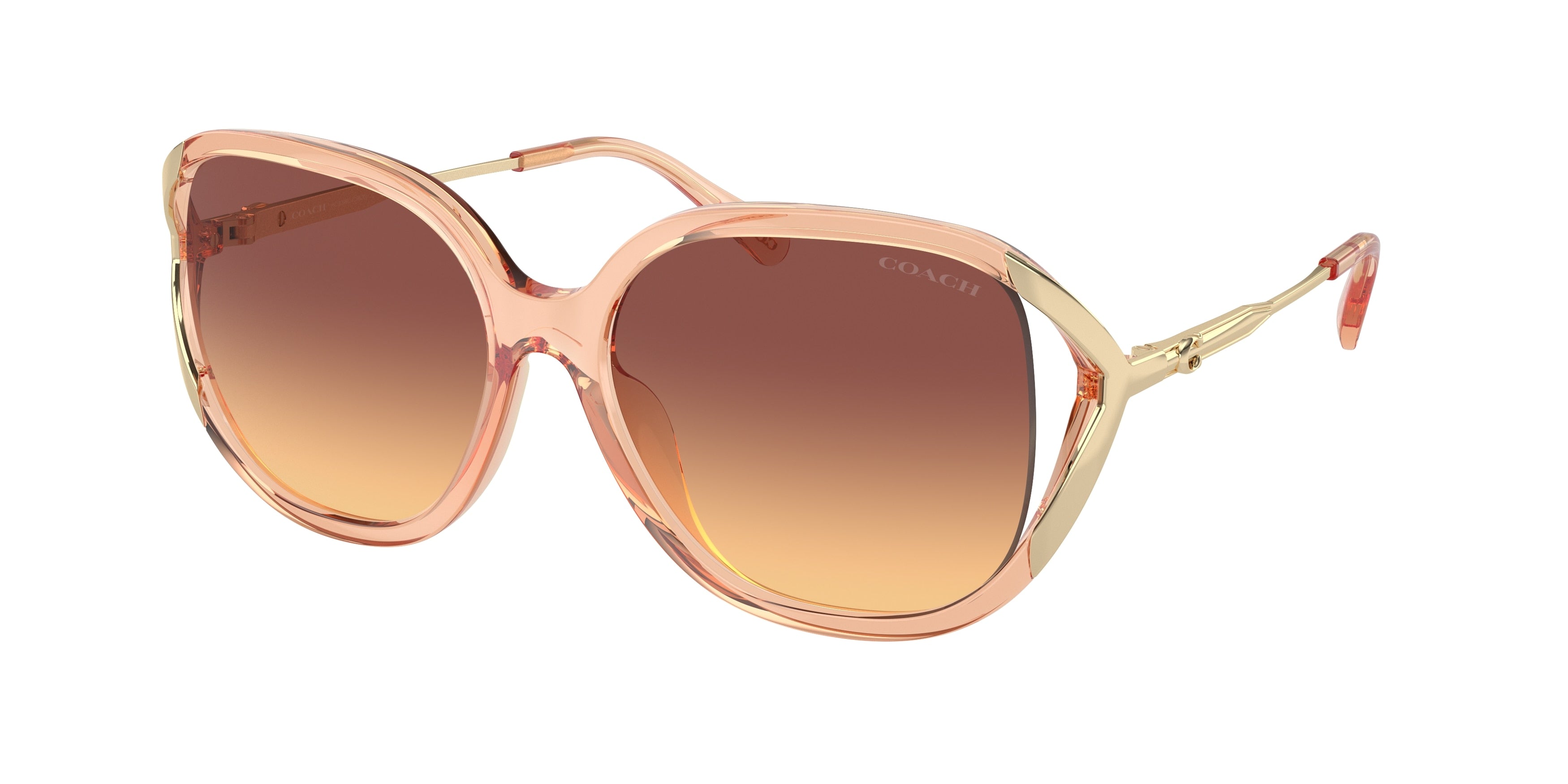 Coach CR620 HC8396U Square Sunglasses  556178-Transparent Champagne 56-140-16 - Color Map Brown