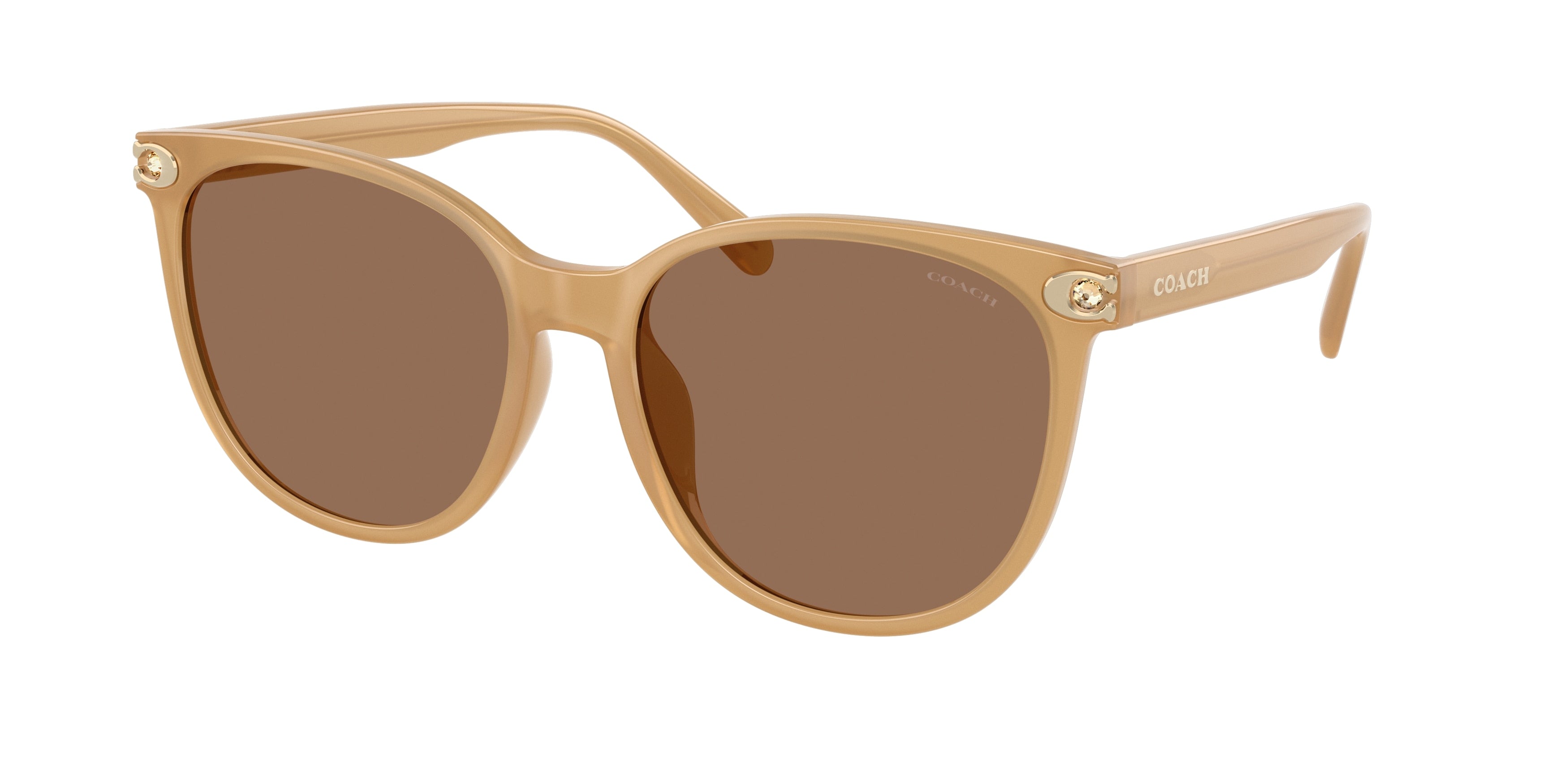 Coach CW428 HC8414BD Round Sunglasses  585473-Milky Tea 57-150-17 - Color Map Brown