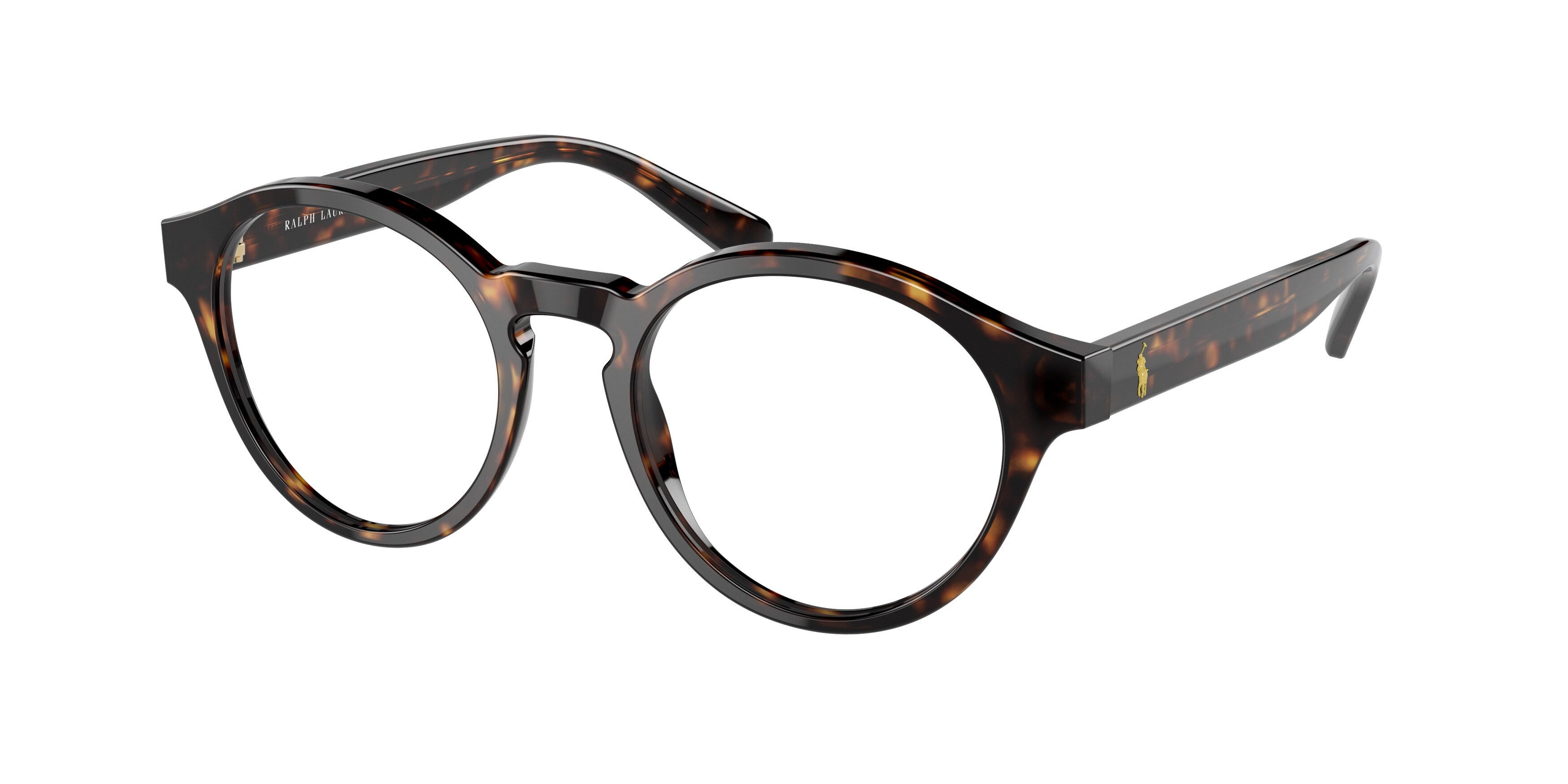 Polo PH2243 Phantos Eyeglasses  5003-Shiny Dark Havana 50-145-19 - Color Map Brown