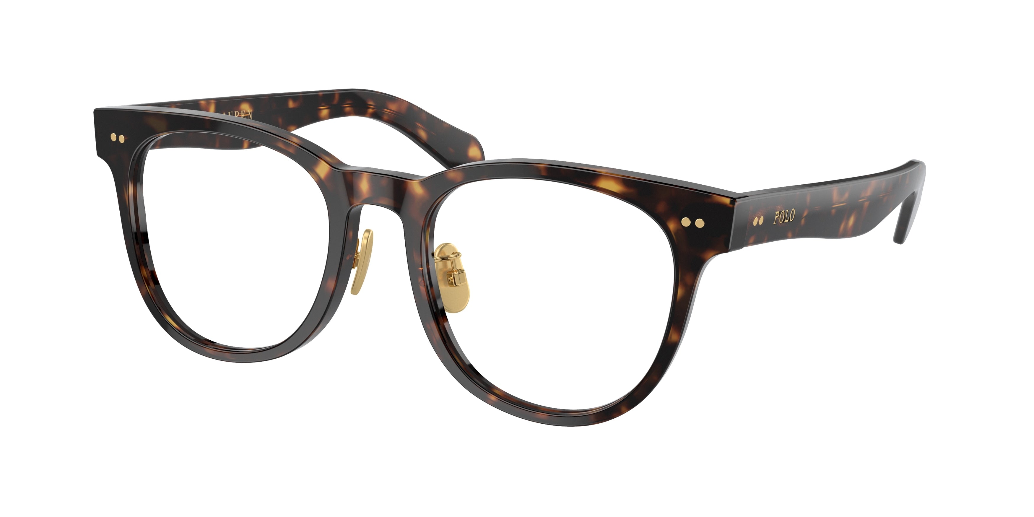 Polo PH2264D Phantos Eyeglasses  5003-Shiny Havana 52-145-20 - Color Map Tortoise