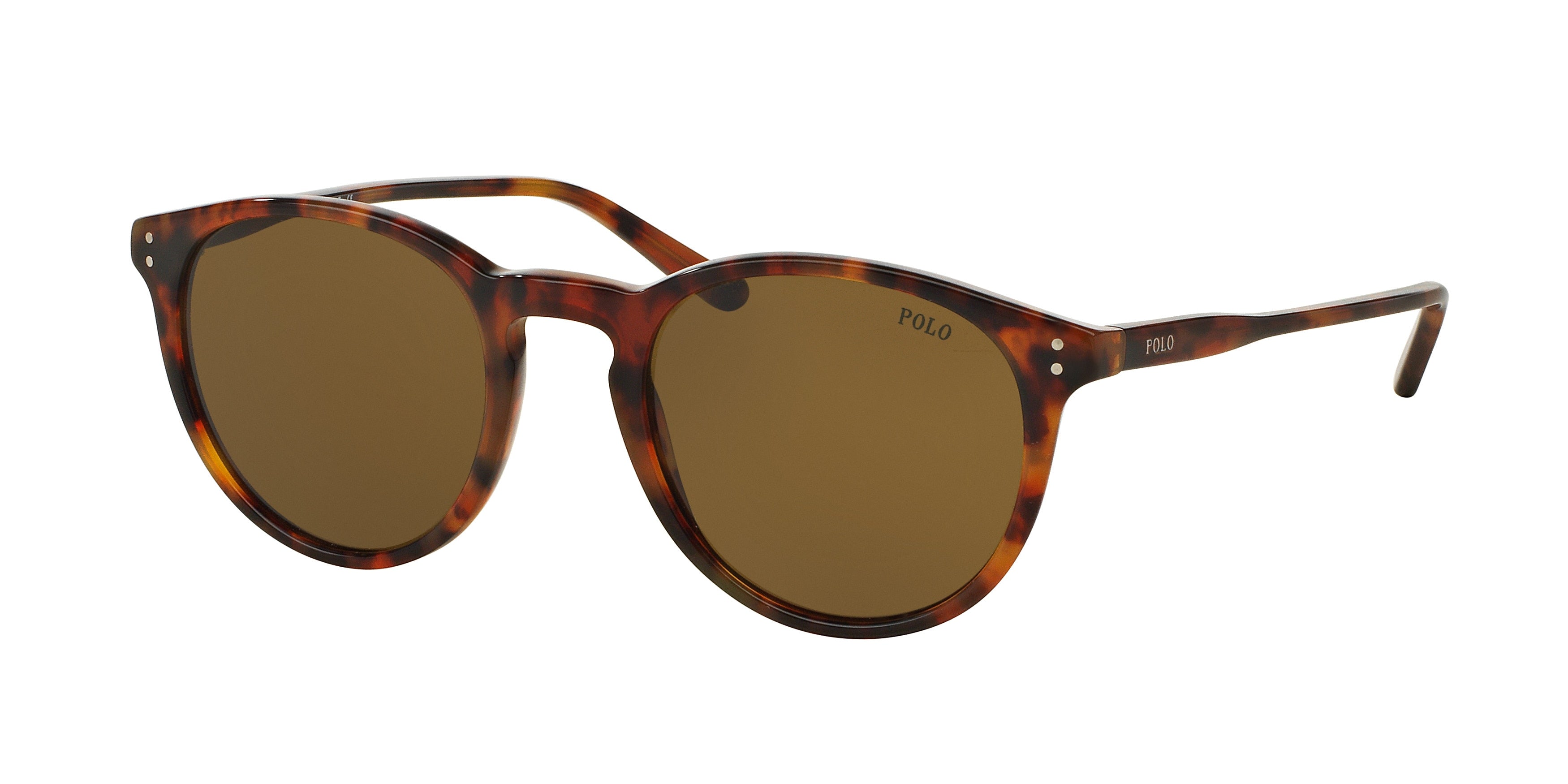 Polo PH4110 Phantos Sunglasses  501773-Havana 50-145-21 - Color Map Tortoise