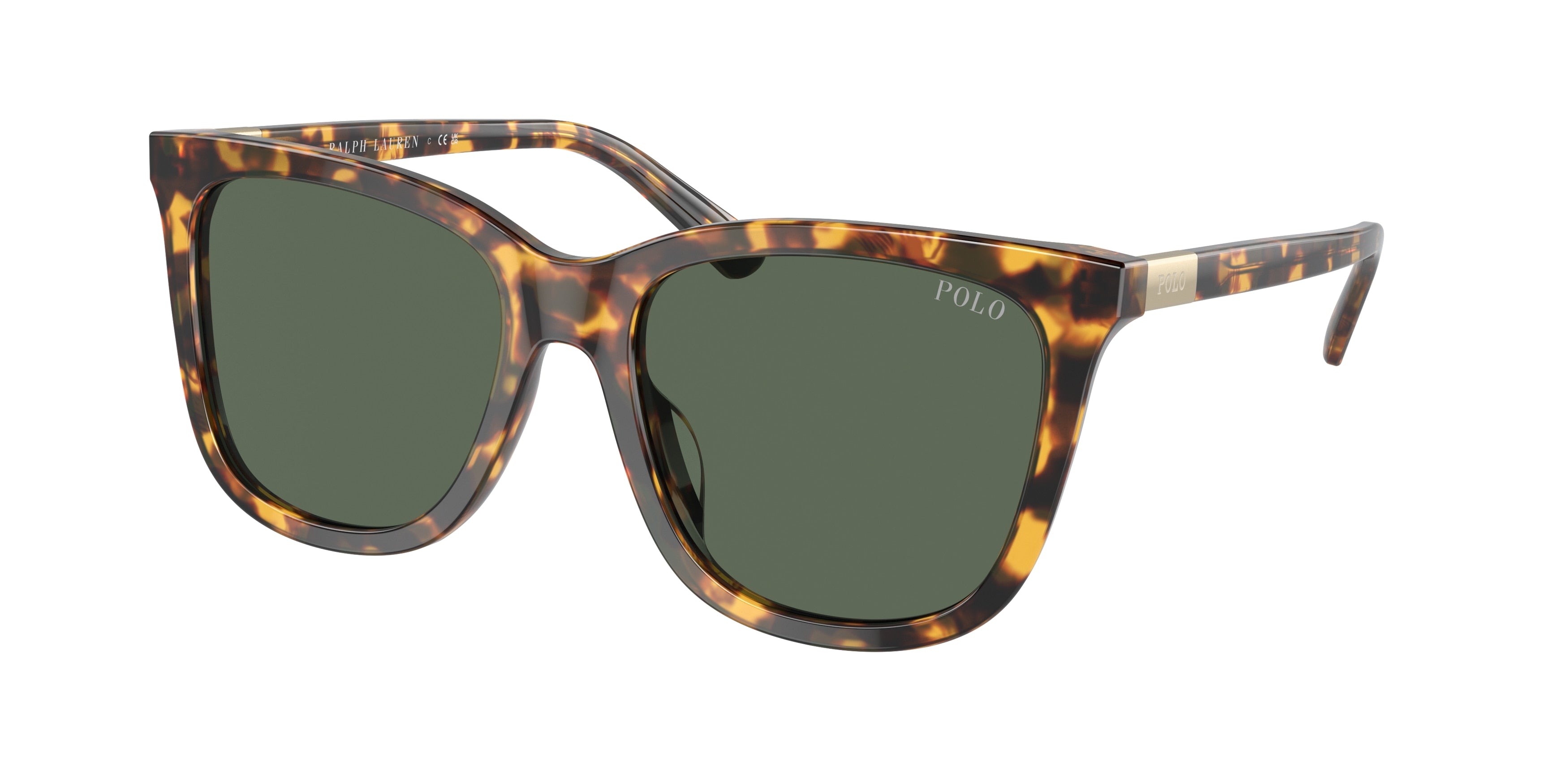 Polo PH4201U Square Sunglasses  607871-Shiny Havana 55-145-18 - Color Map Tortoise
