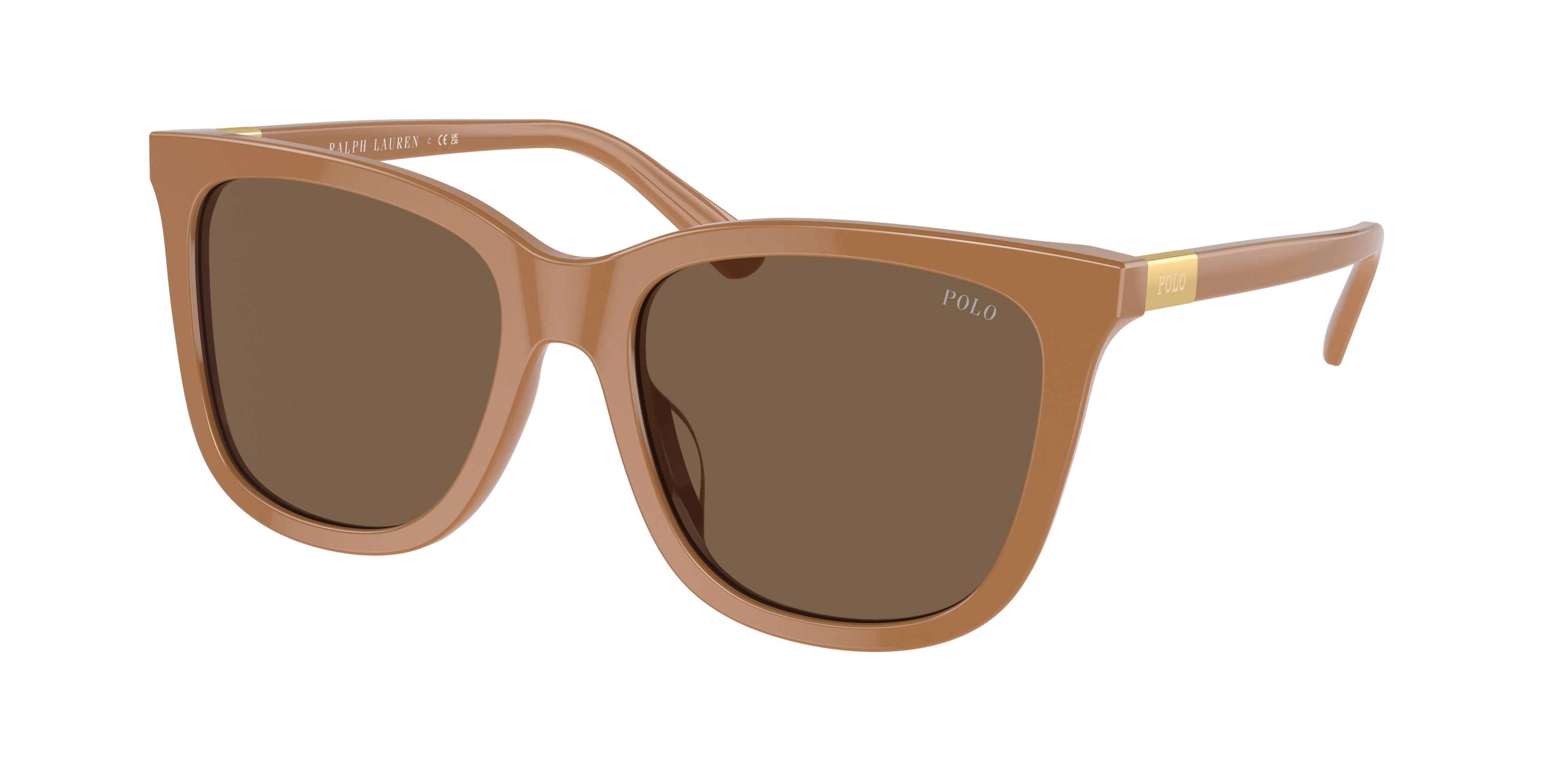 Polo PH4201U Square Sunglasses  619673-Shiny Brown 55-145-18 - Color Map Brown