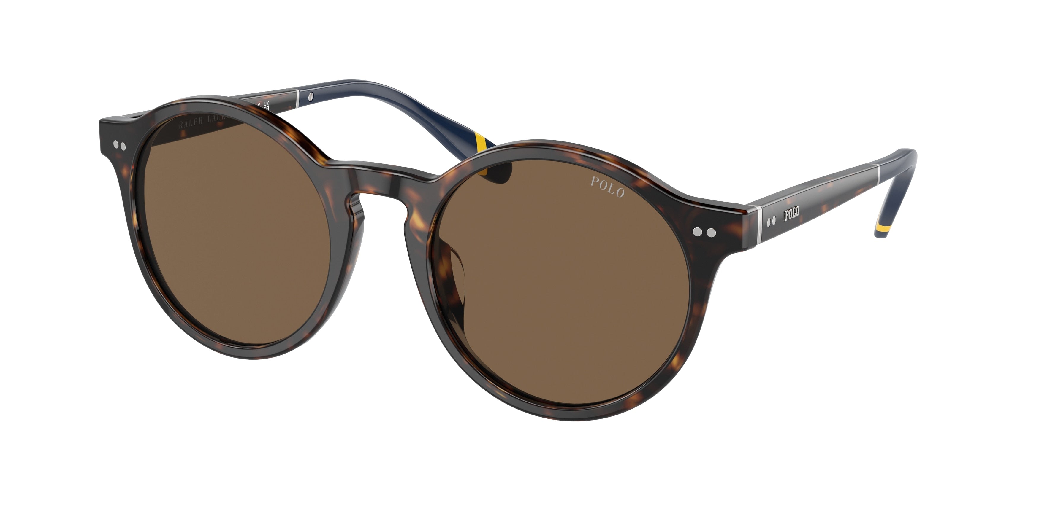 Polo PH4204U Phantos Sunglasses  500373-Shiny Dark Havana 53-145-21 - Color Map Tortoise
