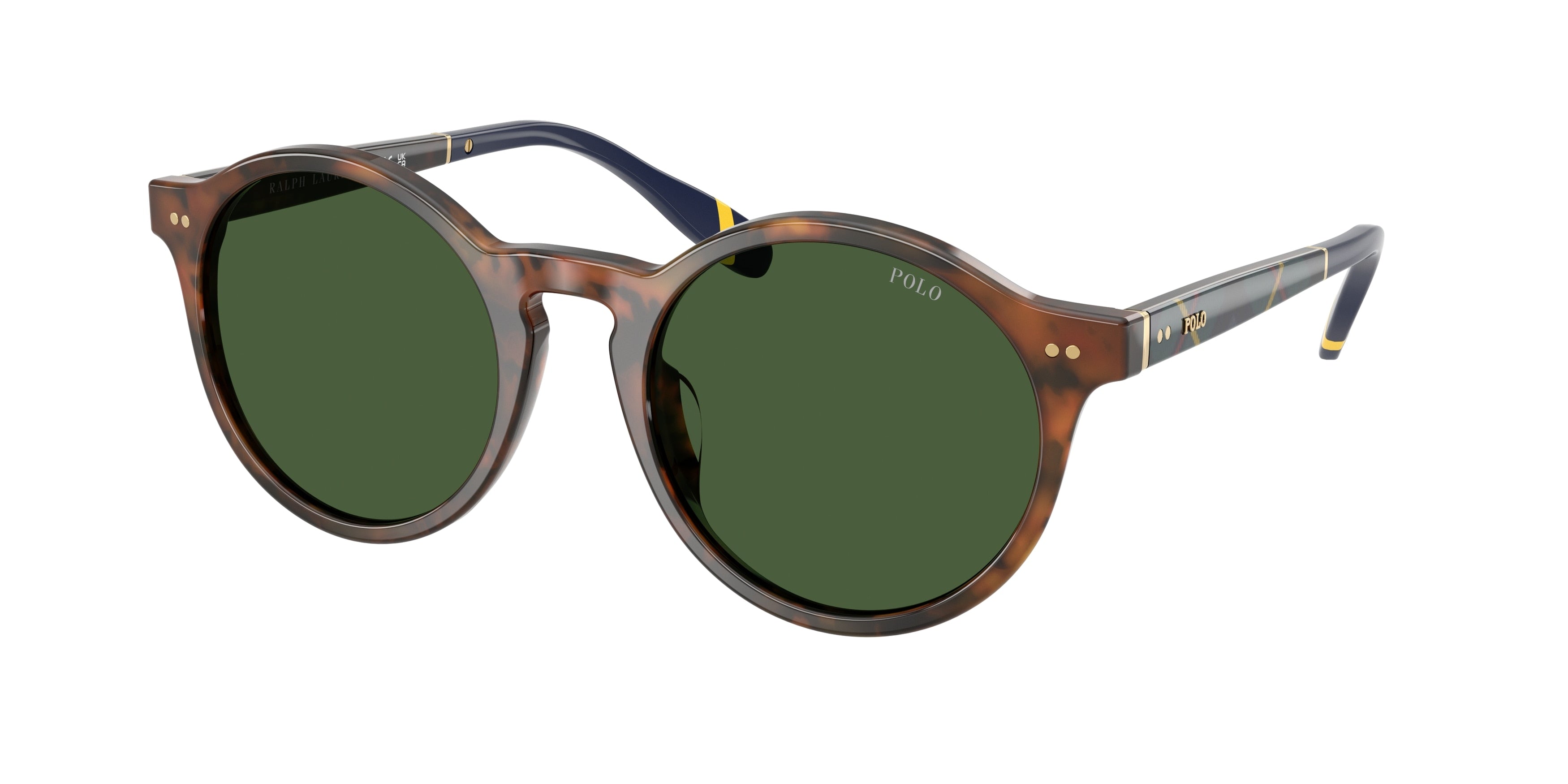 Polo PH4204U Phantos Sunglasses  562571-Shiny Brown Tortoise 53-145-21 - Color Map Tortoise