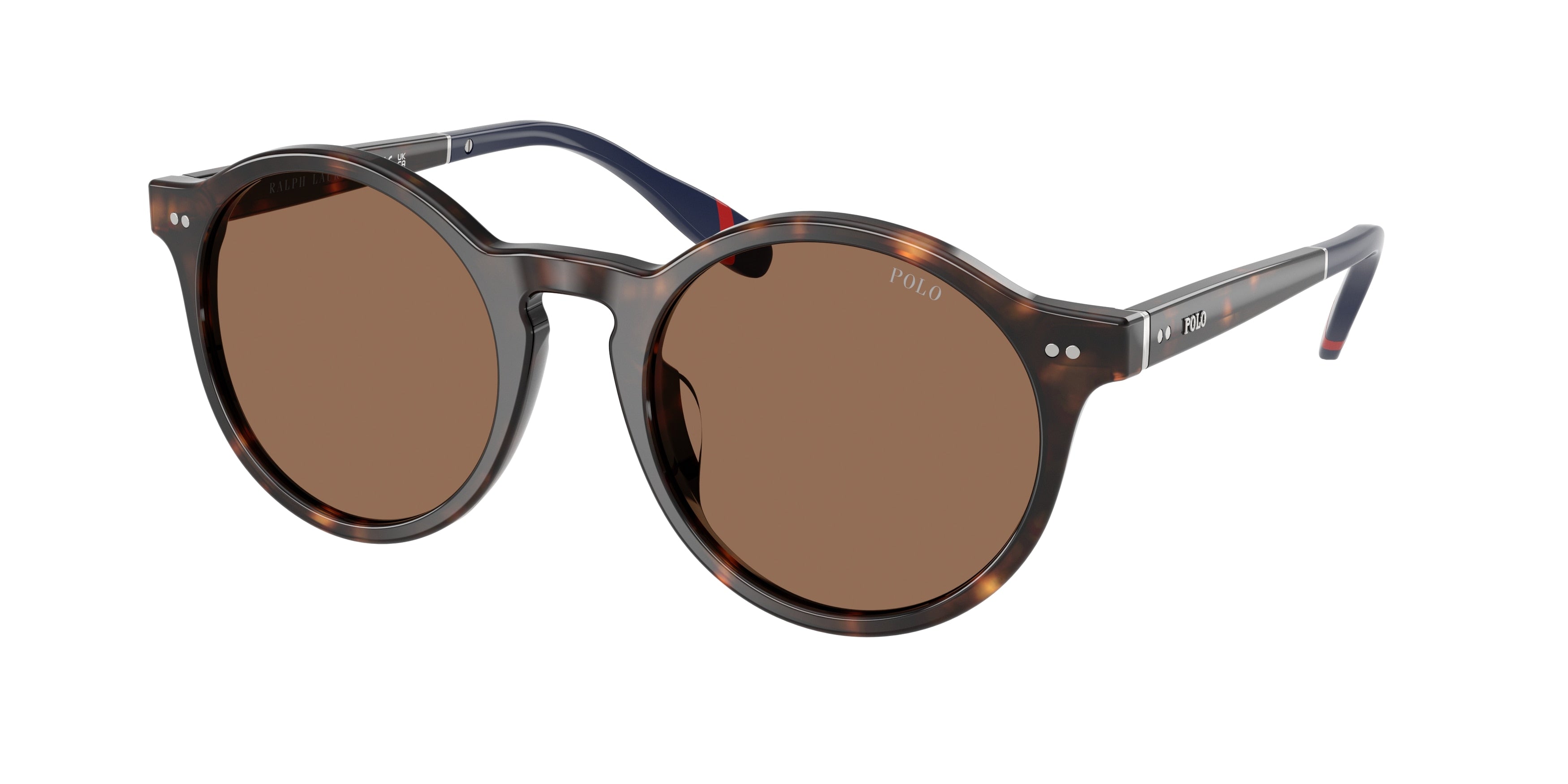 Polo PH4204U Phantos Sunglasses  567373-Shiny Dark Havana 53-145-21 - Color Map Tortoise