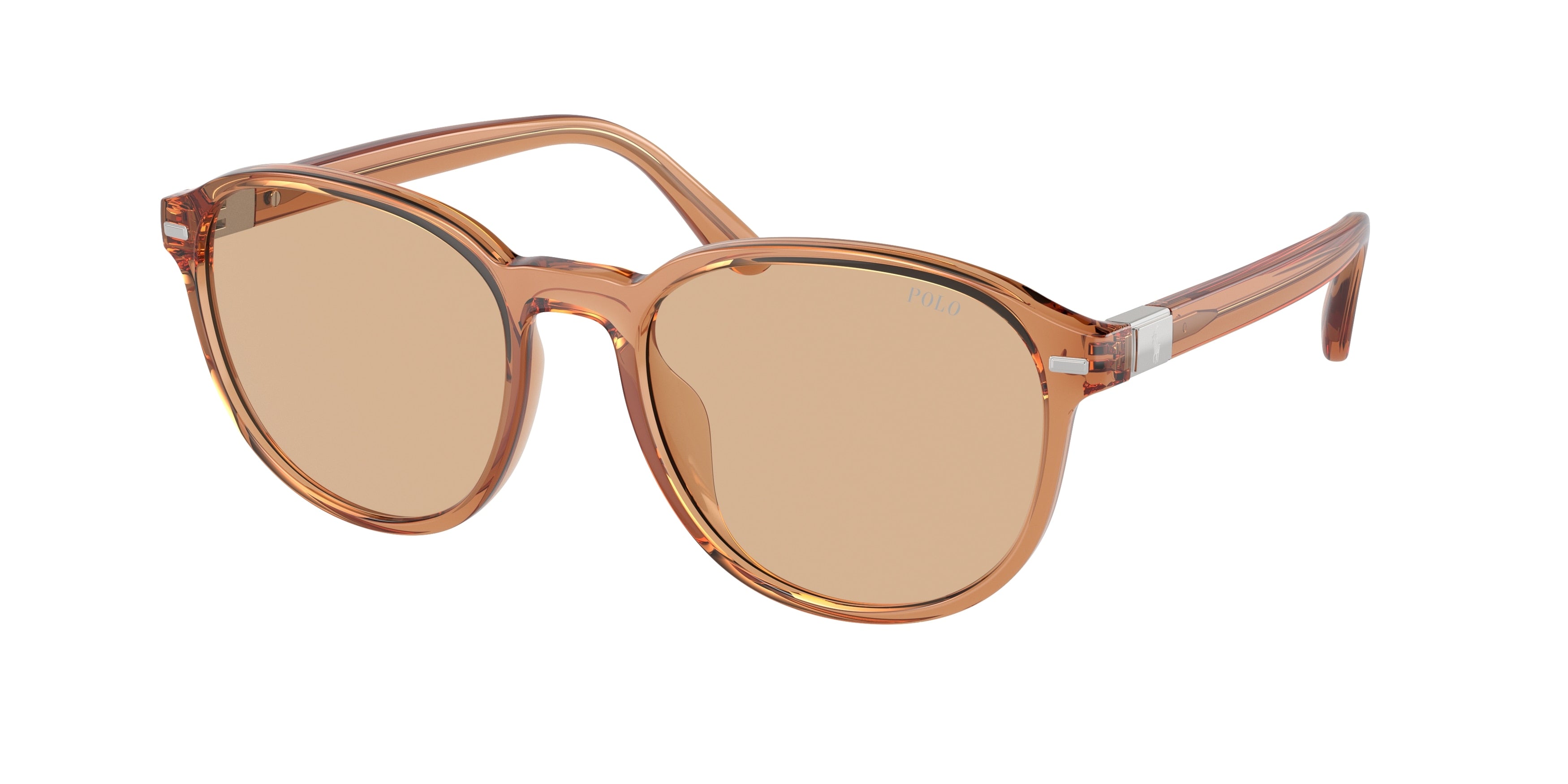 Polo PH4207U Phantos Sunglasses  604873-Shiny Transparent Brown 54-145-19 - Color Map Brown