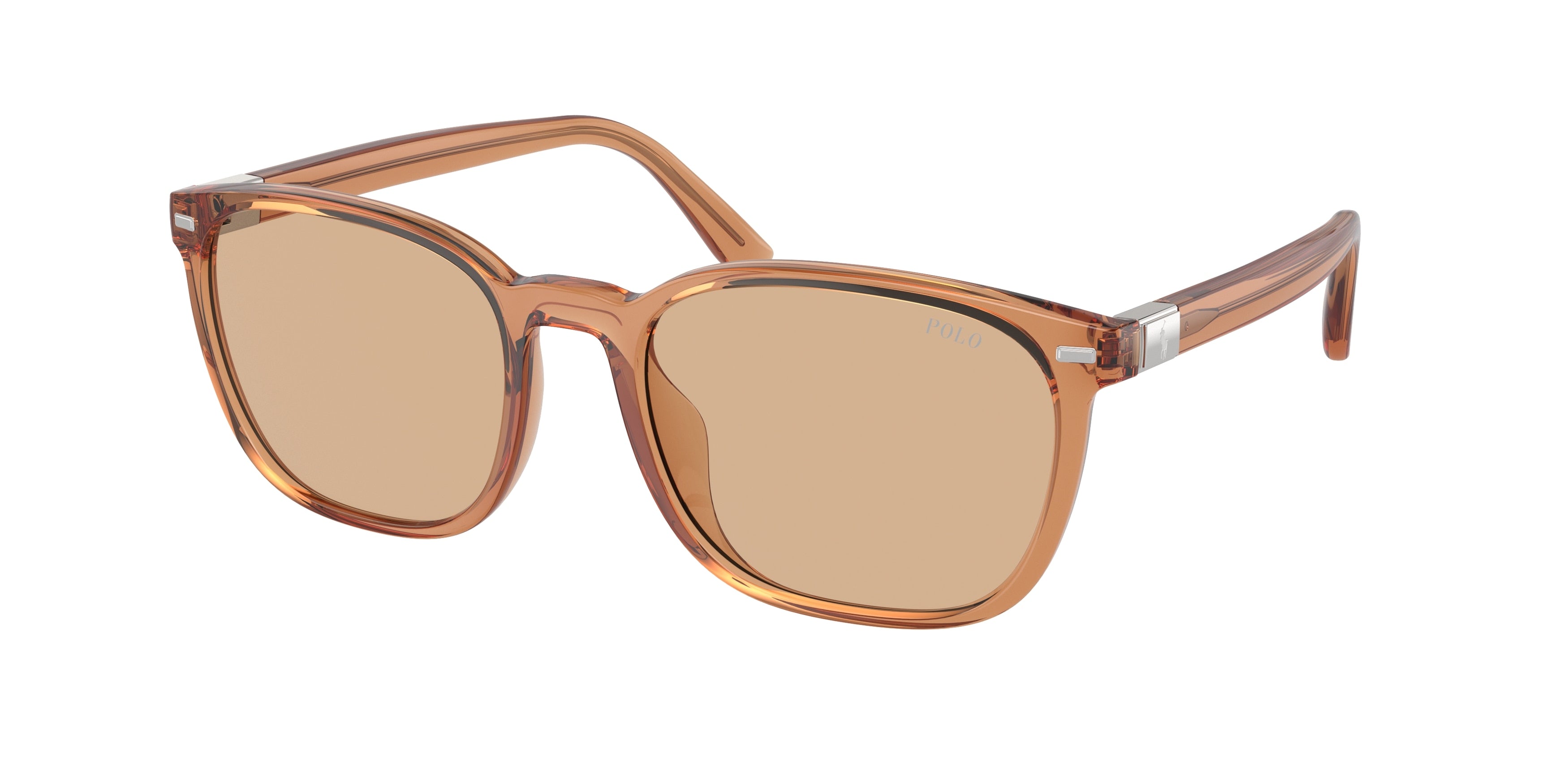Polo PH4208U Square Sunglasses  604873-Shiny Transparent Brown 55-145-19 - Color Map Brown