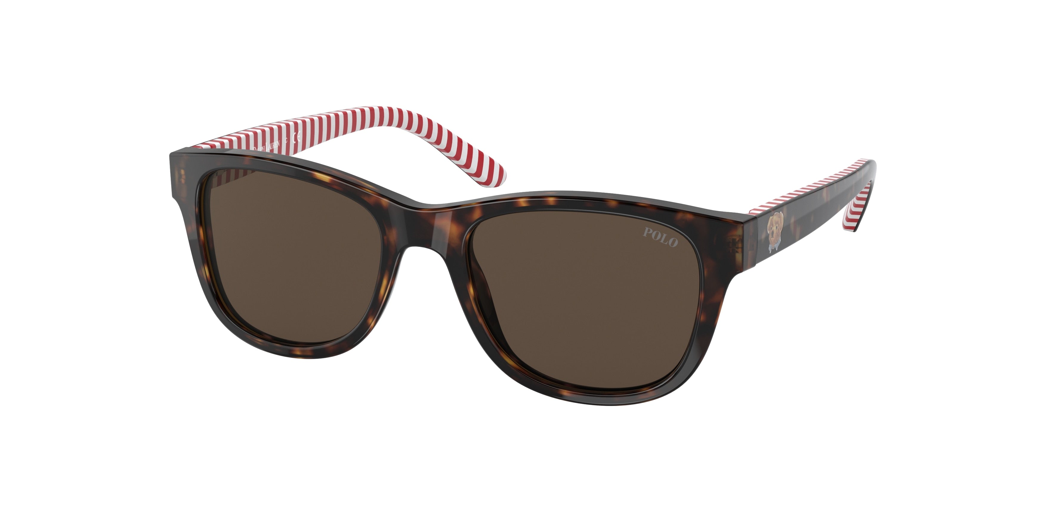 Polo Prep PP9501 Rectangle Sunglasses  593673-Shiny Dark Havana 47-130-17 - Color Map Brown