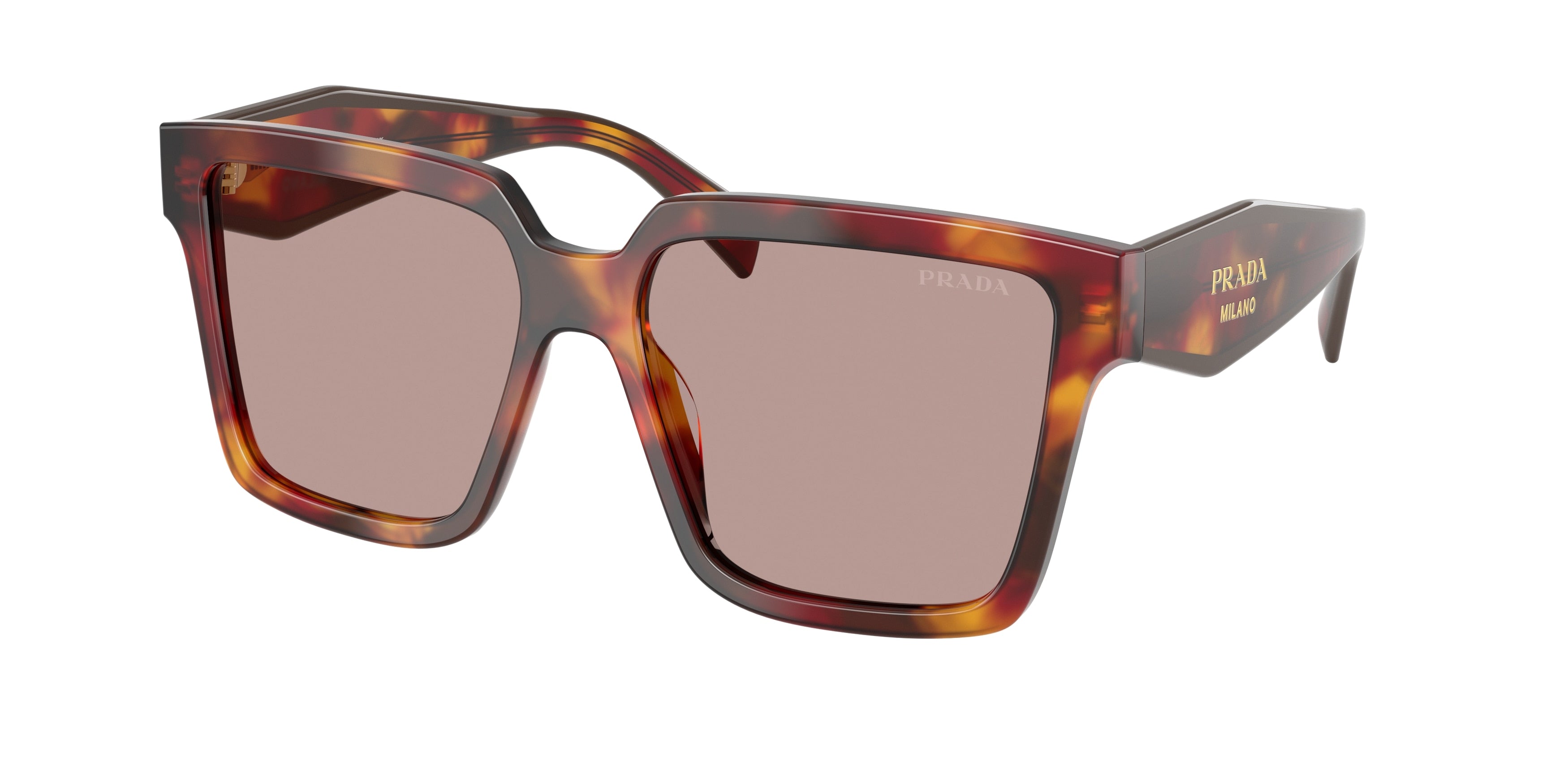 Prada PR24ZS Square Sunglasses  22A20I-Poppy Tortoise 56-140-16 - Color Map Tortoise