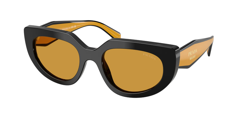 Prada PRD02S Oval Sunglasses  02K50P-Black 53-140-20 - Color Map Black