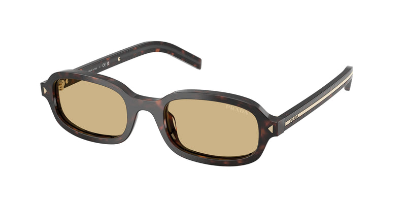 Prada PRD06SF Oval Sunglasses  17N70R-Root Tortoise 52-145-19 - Color Map Tortoise
