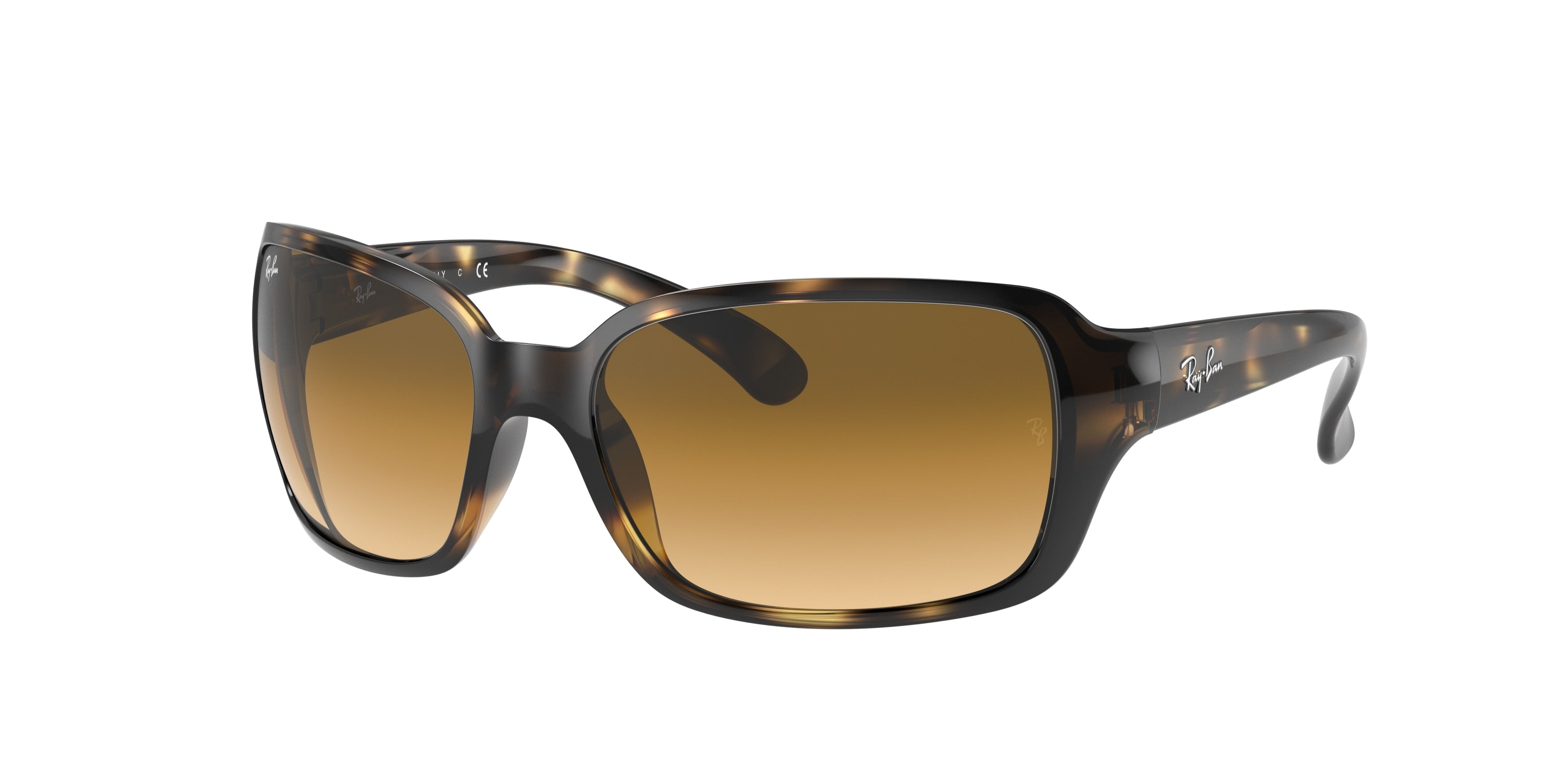 Ray-Ban RB4068 Square Sunglasses