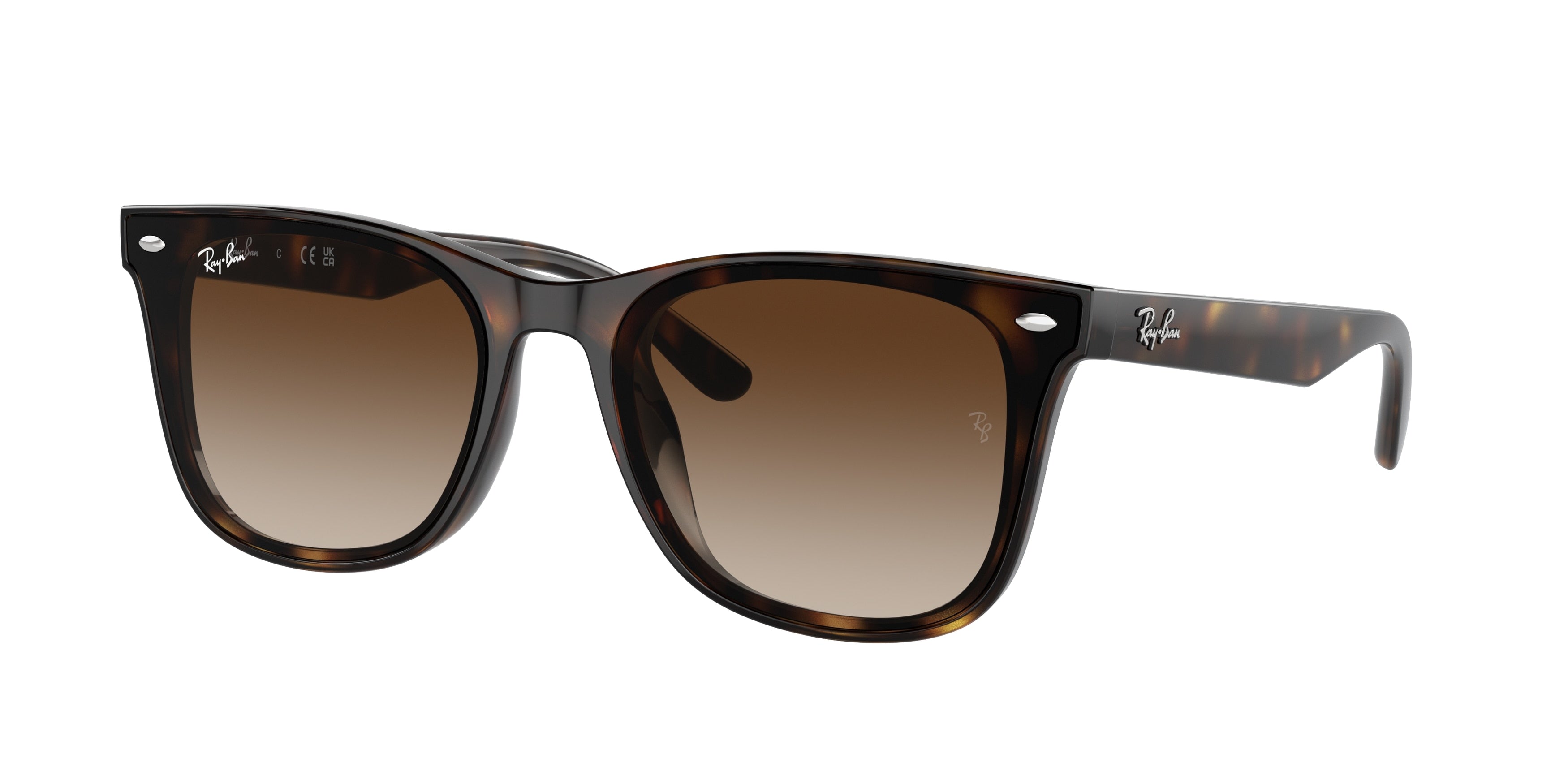 Ray-Ban RB4420 Square Sunglasses