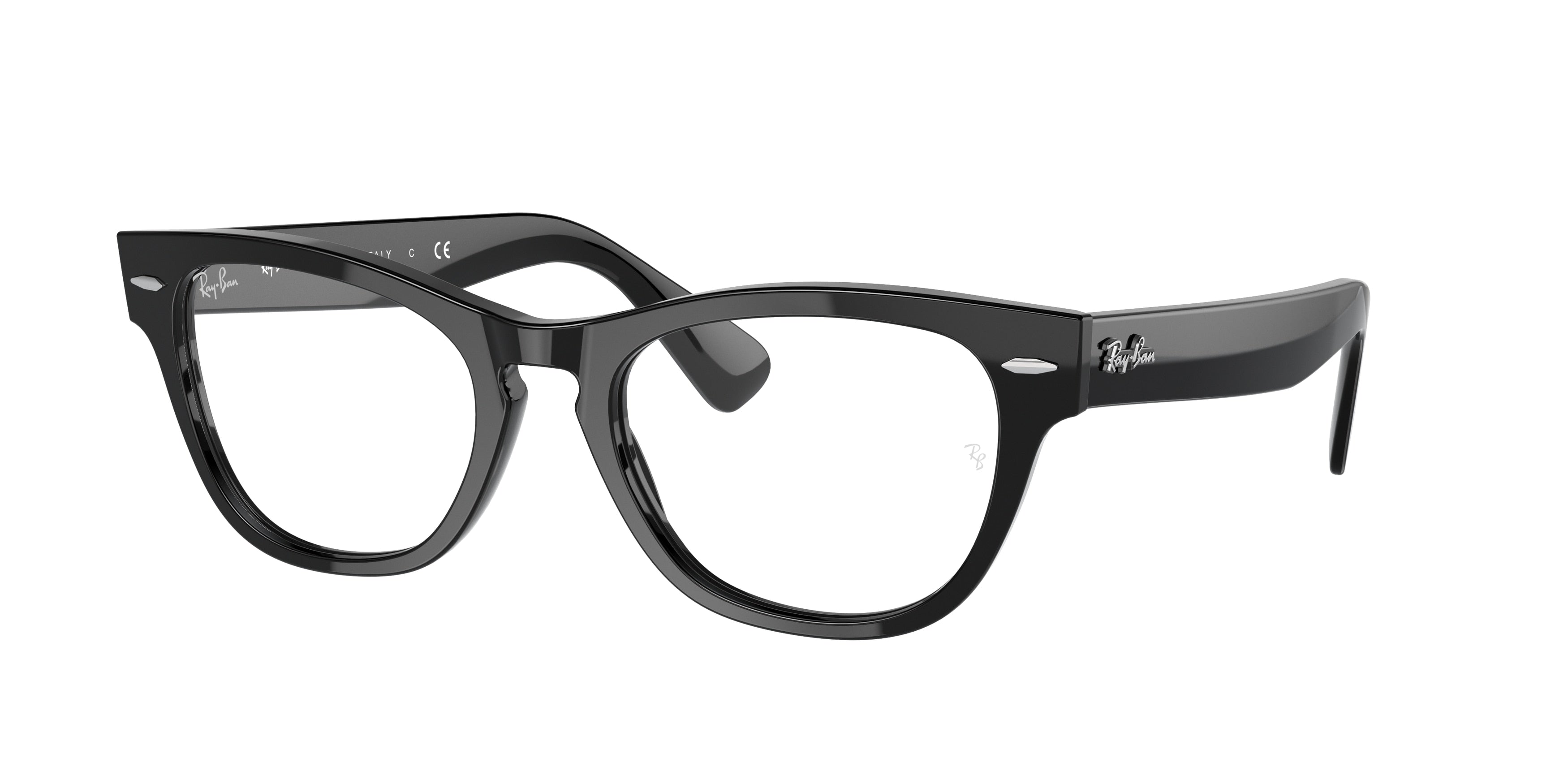 Ray-Ban Optical LARAMIE RX2201V Irregular Eyeglasses